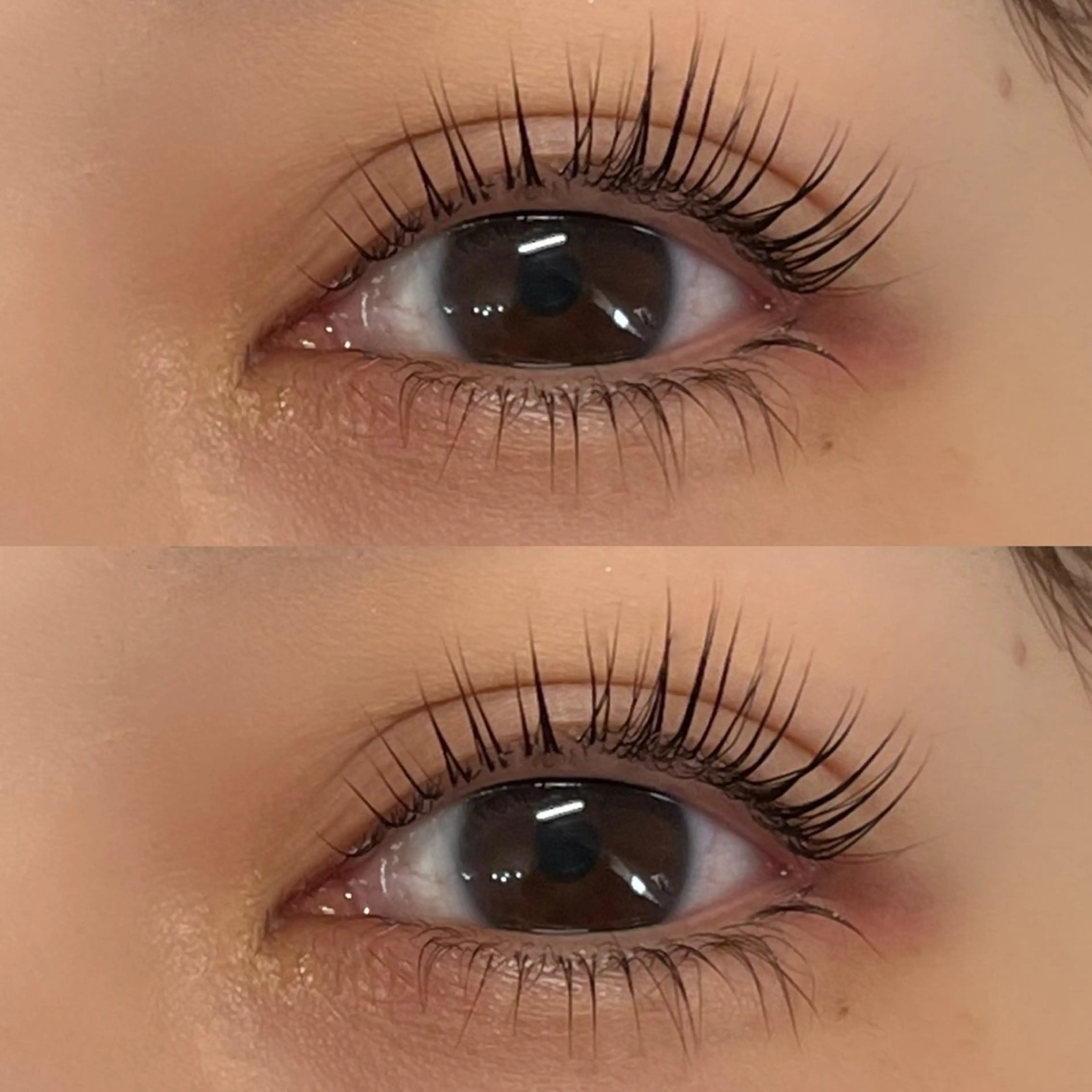 マツエク・マツパ ネイル/束感まつ毛 MOANA天王寺店のマツエク・マツパデザイン