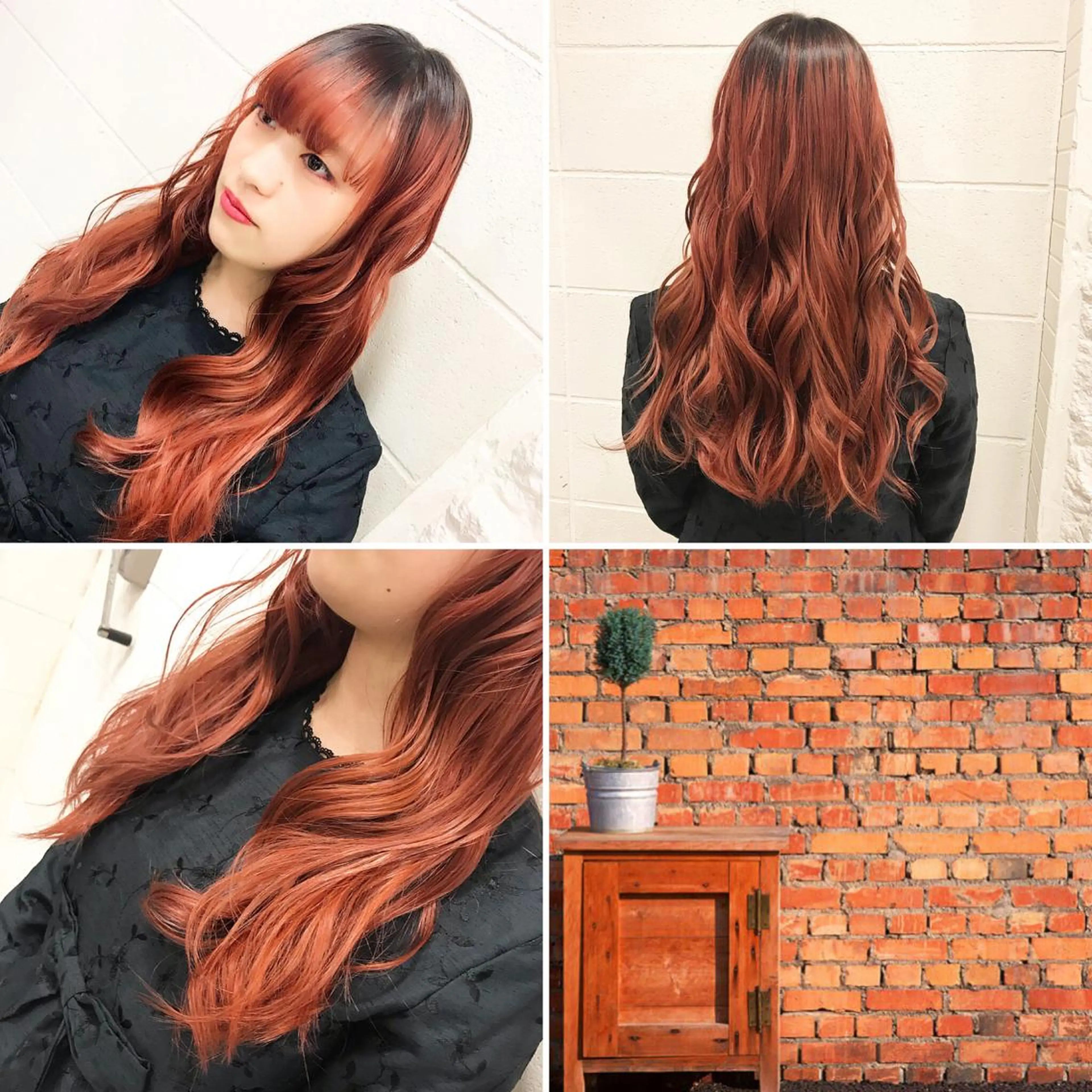 ロング カラー ヘアカラー トリートメント ✨️眉毛、派手髪、 ハイトーンShinの眉毛・アイブロウイメージ