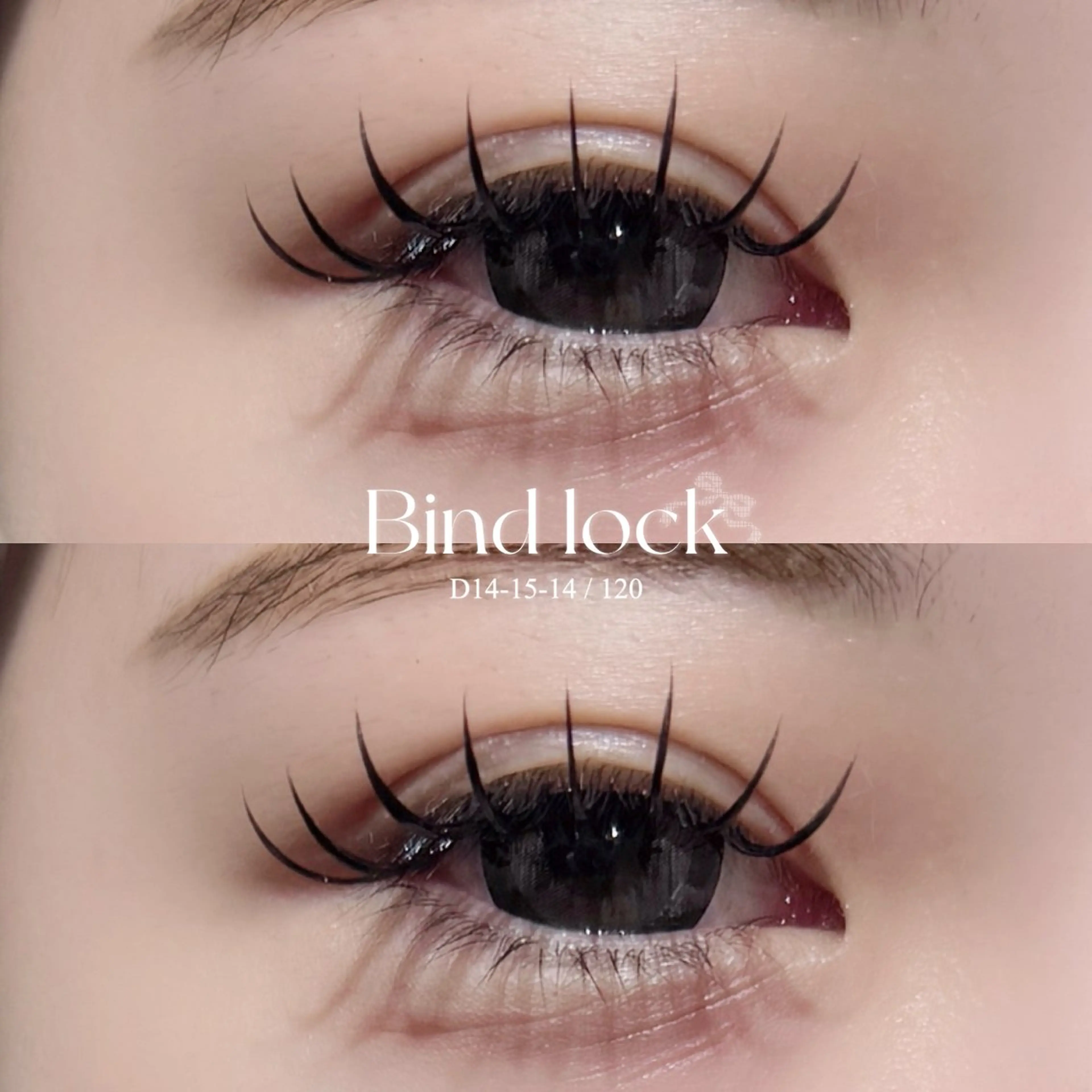 マツエク・マツパ マツエク Plus Elima / rioのマツエク・マツパデザイン