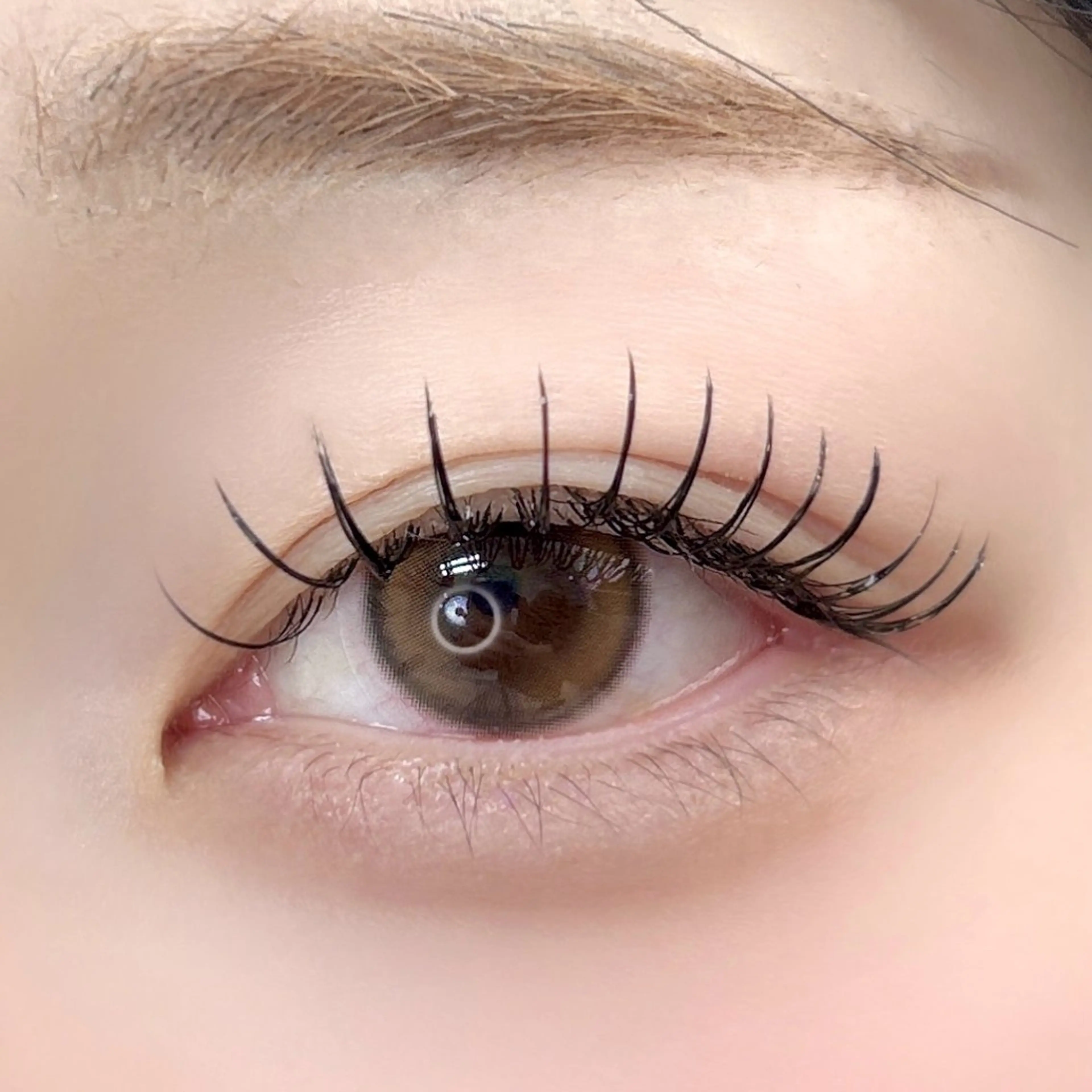 【初回​〜​2回目まで】フラットラッシュ140本 ¥5200 コーティング付き✨の写真