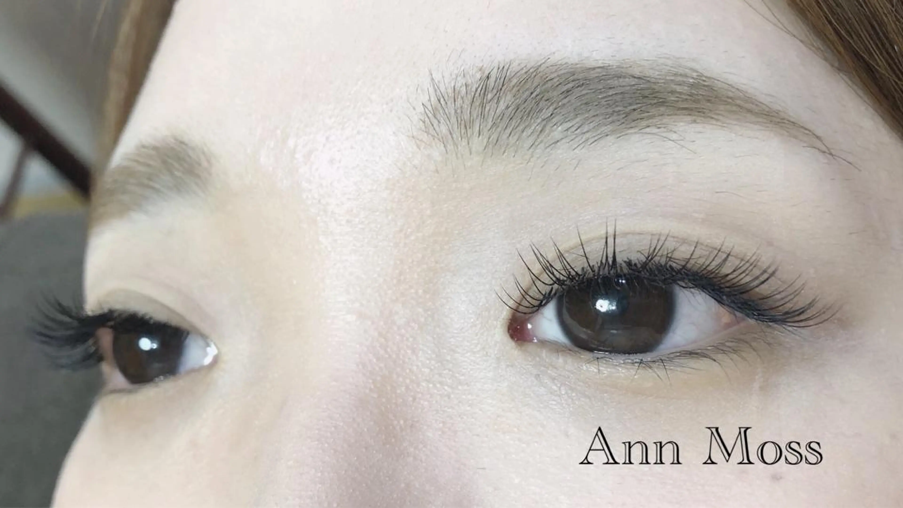 マツエク・マツパ 無料モデル募集中 Ann Mossのマツエク・マツパデザイン