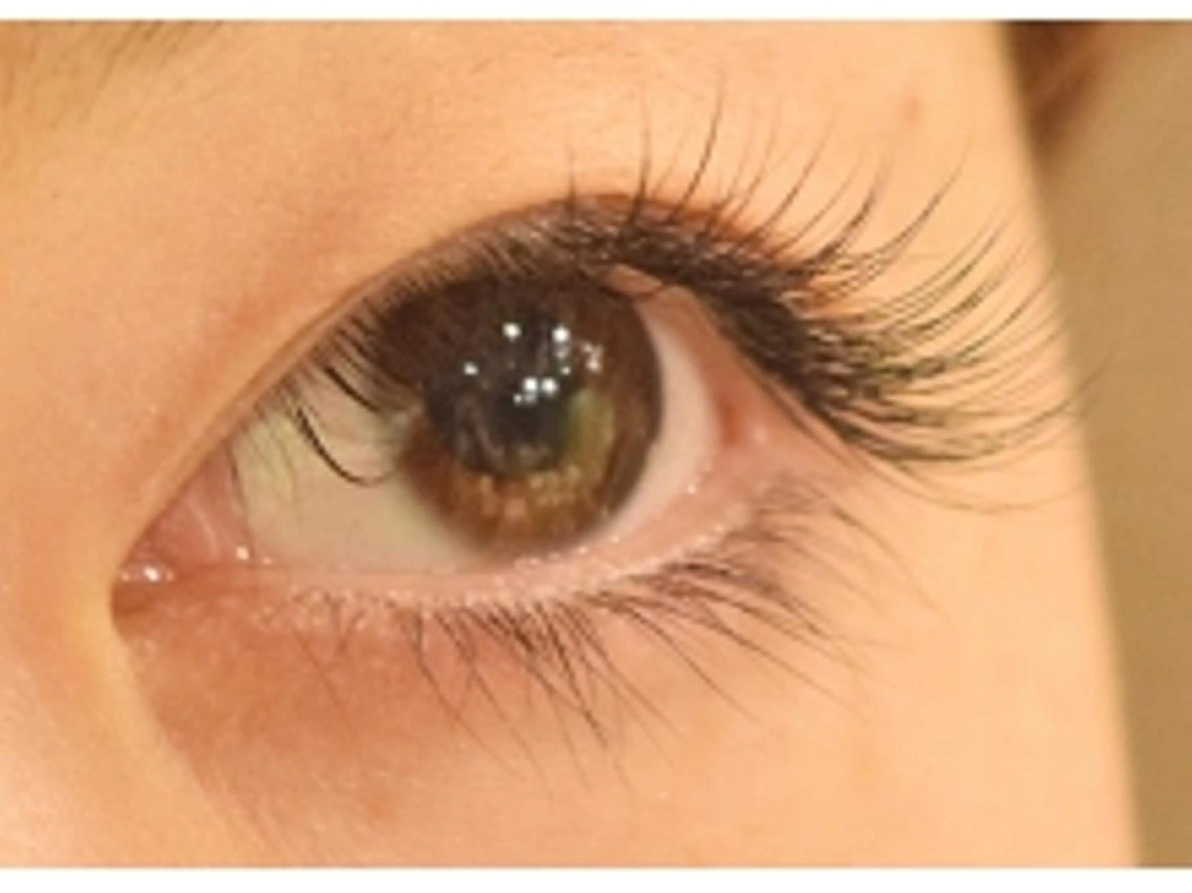 マツエク・マツパ セーブル ARIZ アリズのマツエク・マツパデザイン