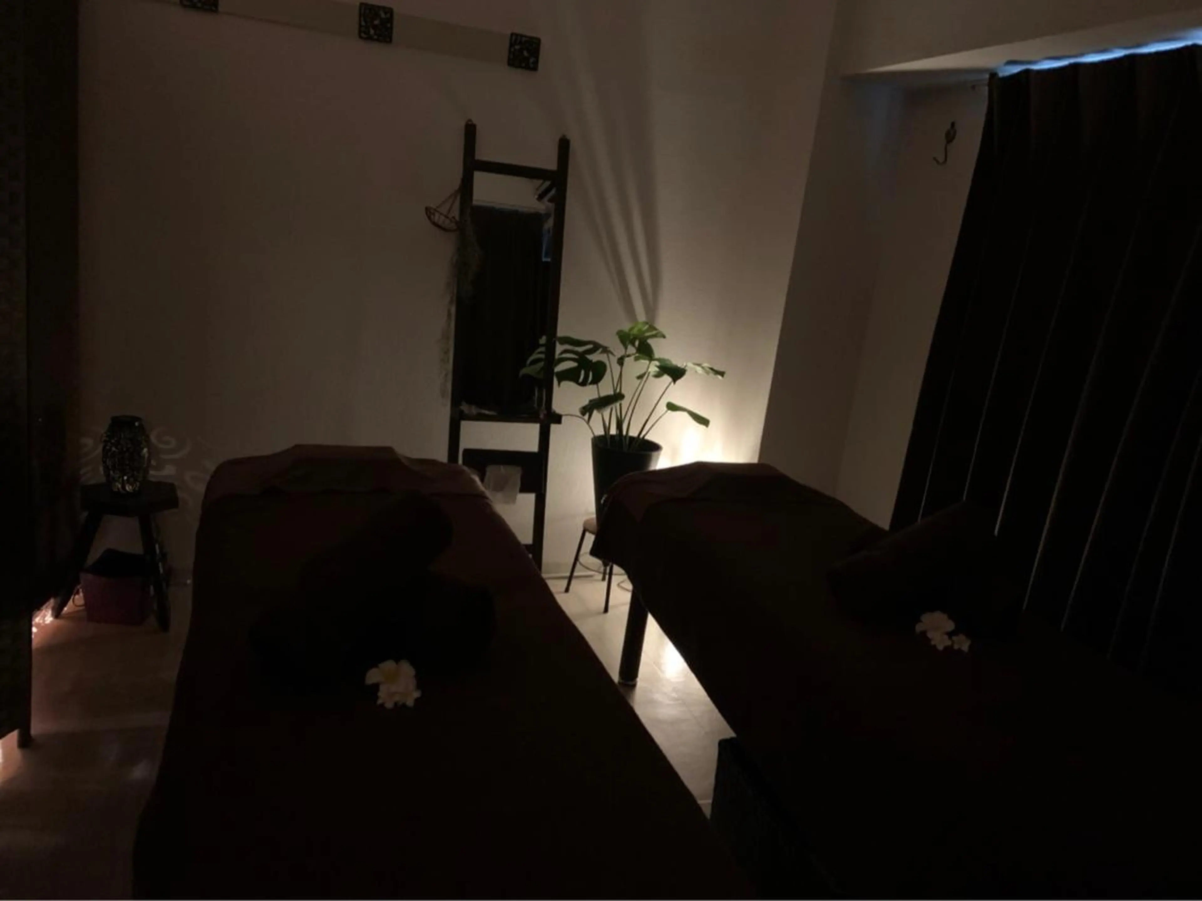 月曜日、金曜日16:00までの限定⭐️🌿yomogi Day🌿　　　　　　　　　よもぎ蒸しでリフレッシュしませんか？の写真