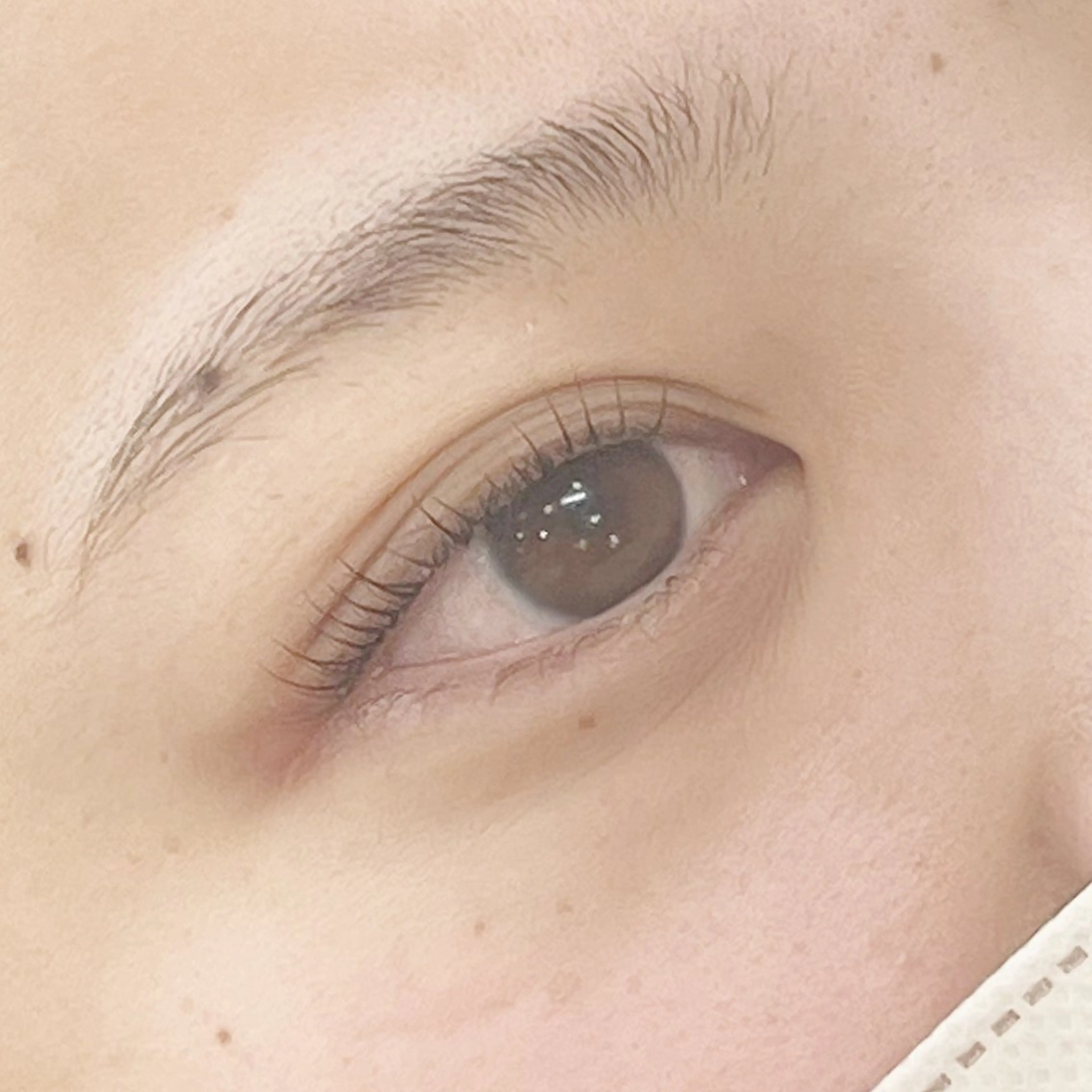 マツエク・マツパ ‎🤍eye‎🤍 miuのマツエク・マツパデザイン