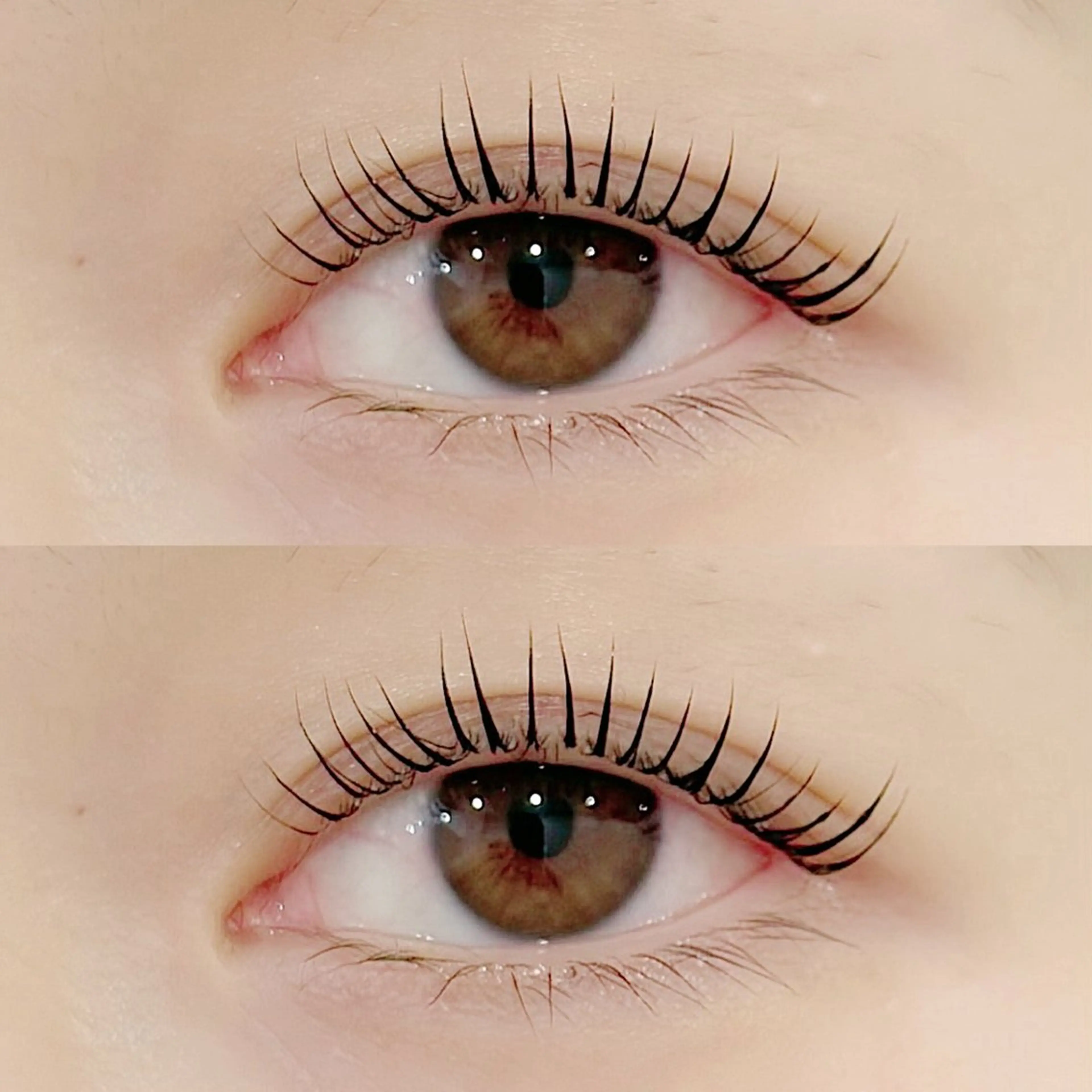 🌿まつ毛パーマorパリジェンヌ＋アイシャンプー＋アイパック付🌿の写真