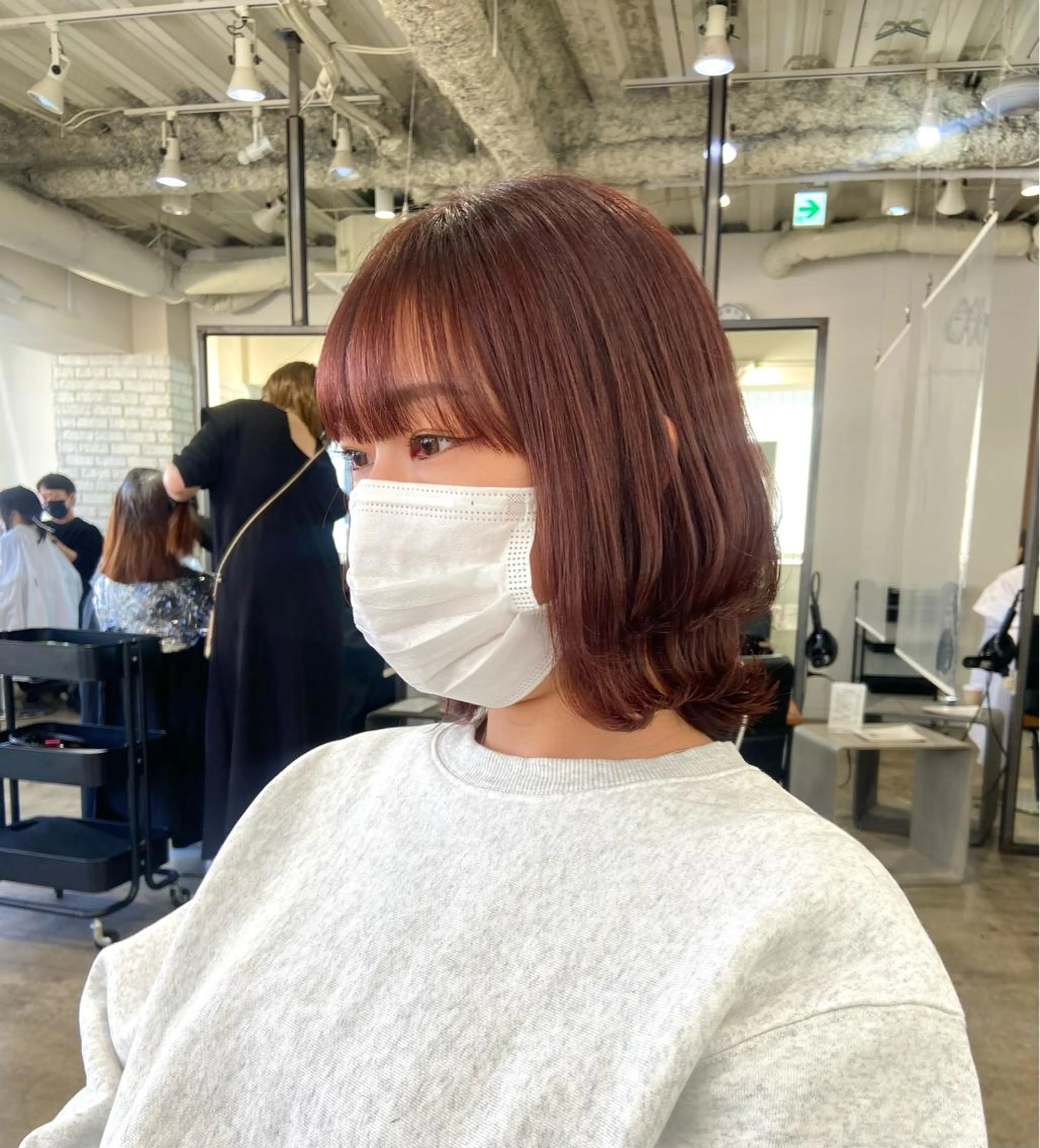 ショート カラー ブラウンカラー ピンクカラー ピンクブラウン ボブ くびれヘア 🪽似合わせカラー RENA.🪽🩶のヘアスタイル