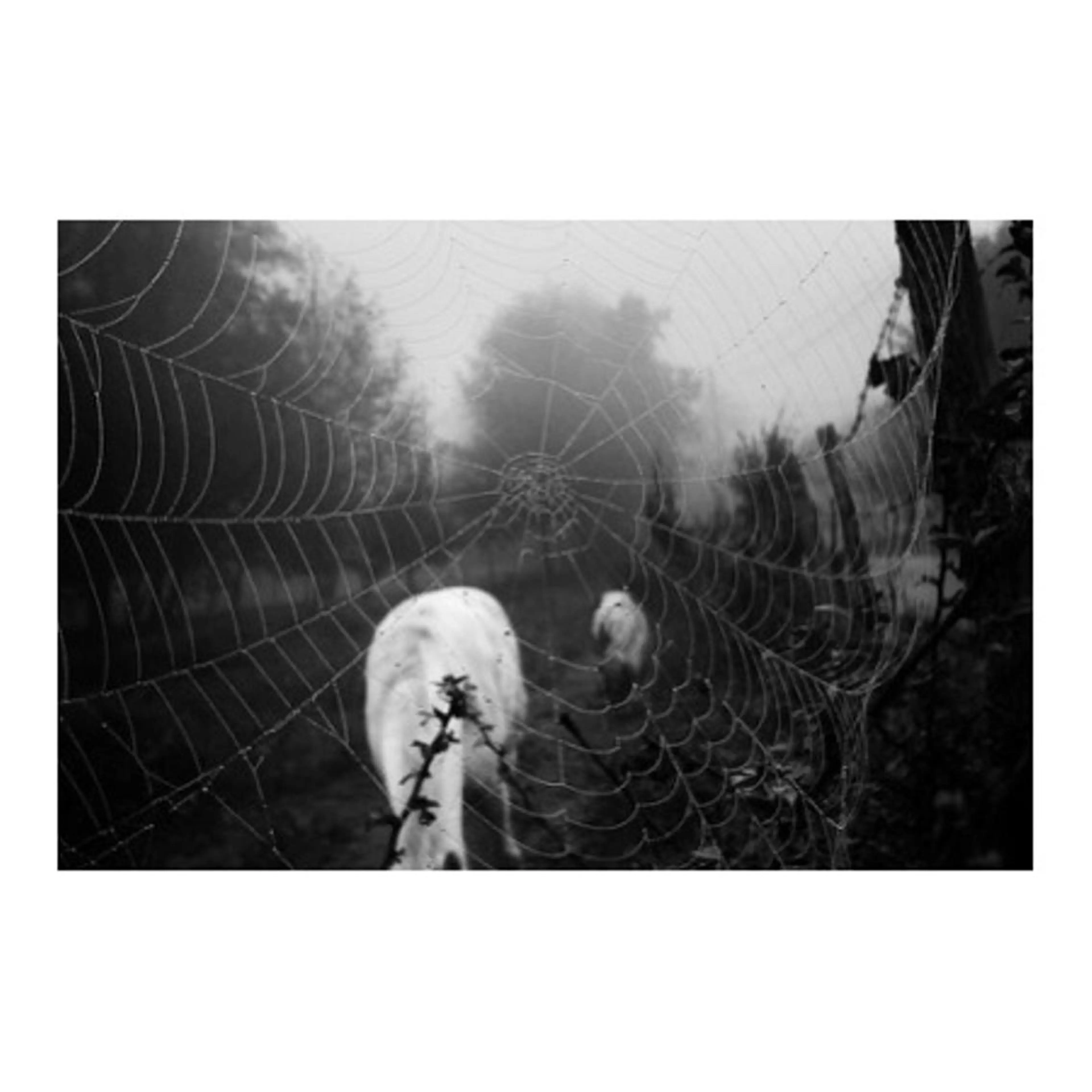 マツエク・マツパ マツエク ANNE梅田ALLYS店所属・高松 せりなのマツエク・マツパデザイン