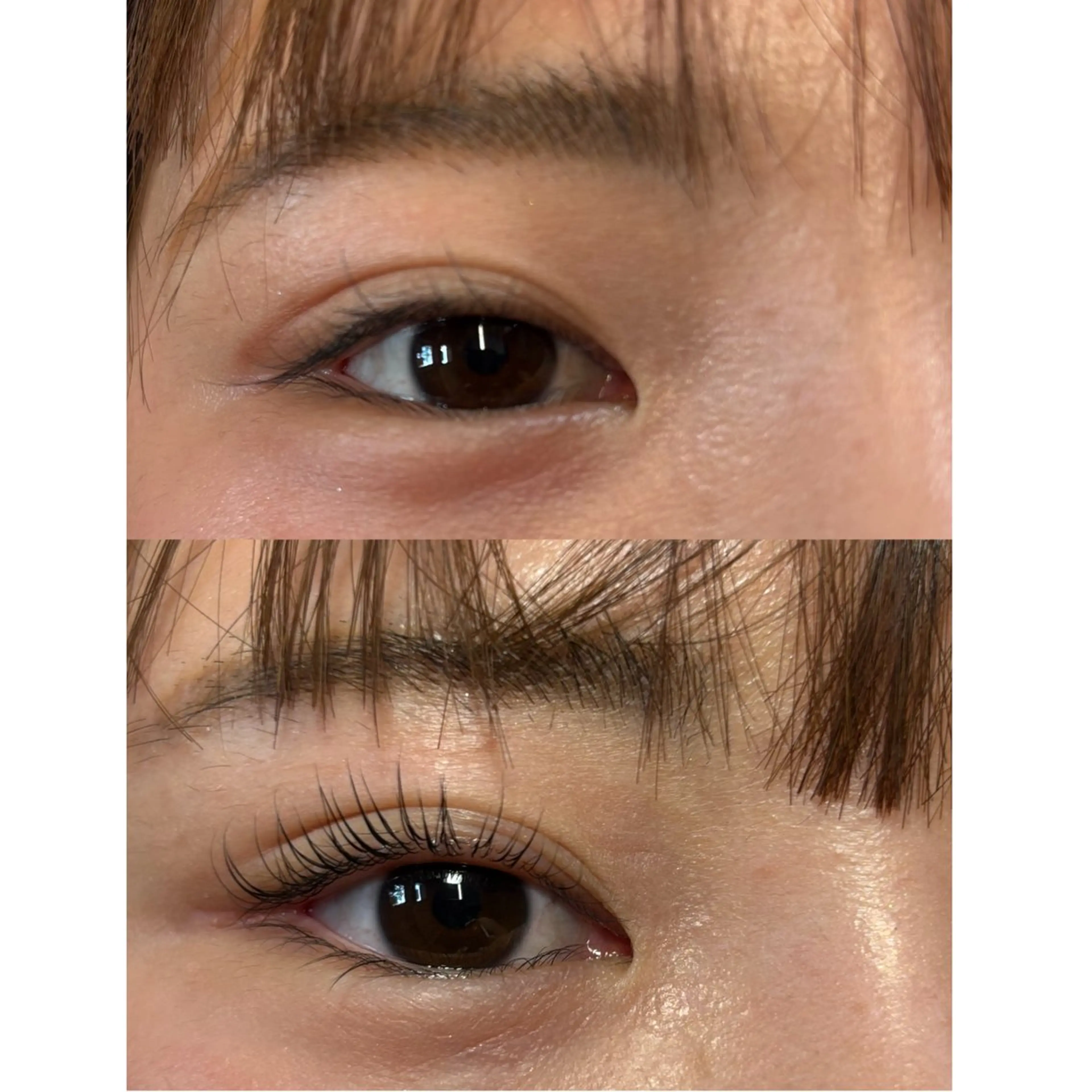 ミニモ学割まつ毛パーマの写真