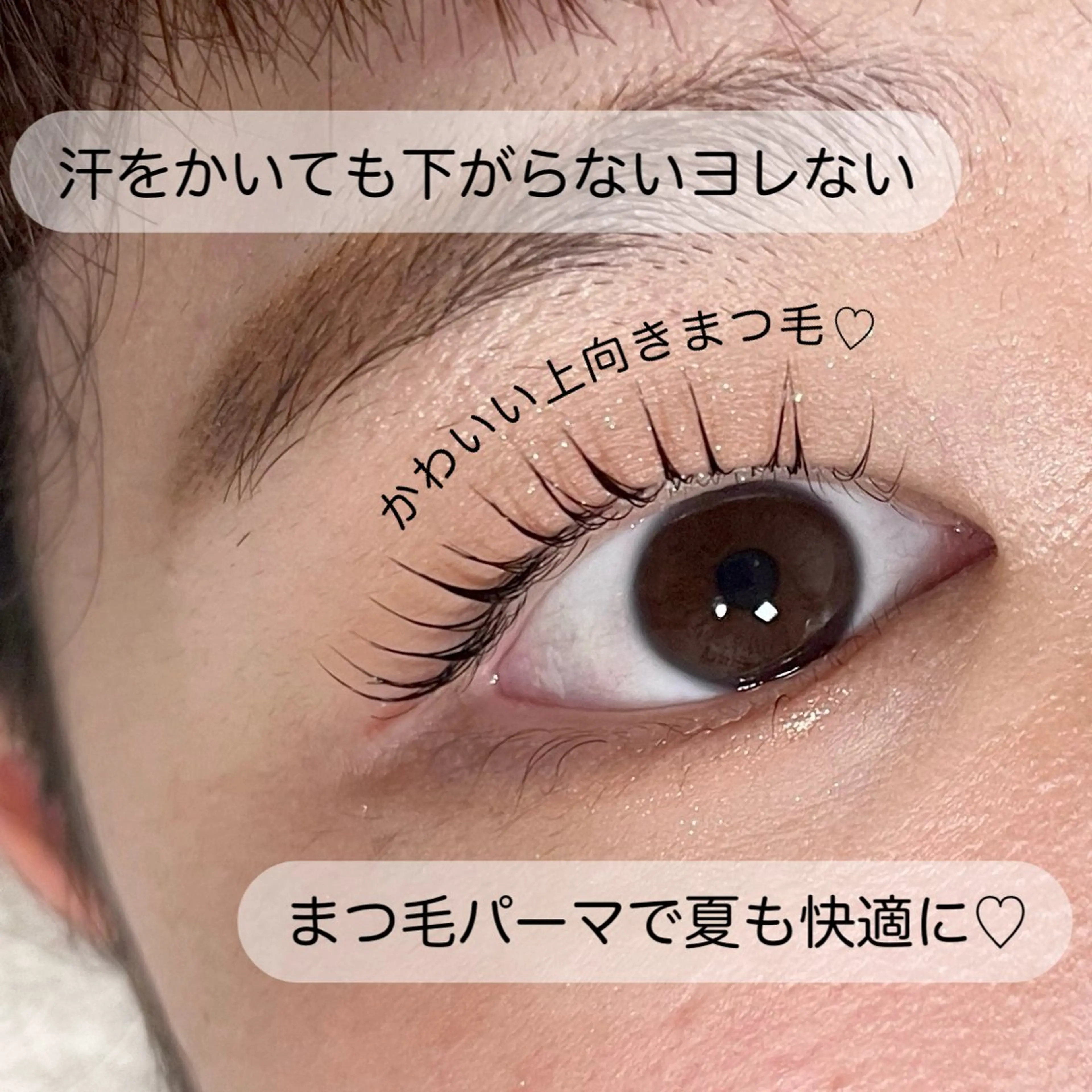 【学割U24】パリジェンヌラッシュリフト/デザインパーマの写真