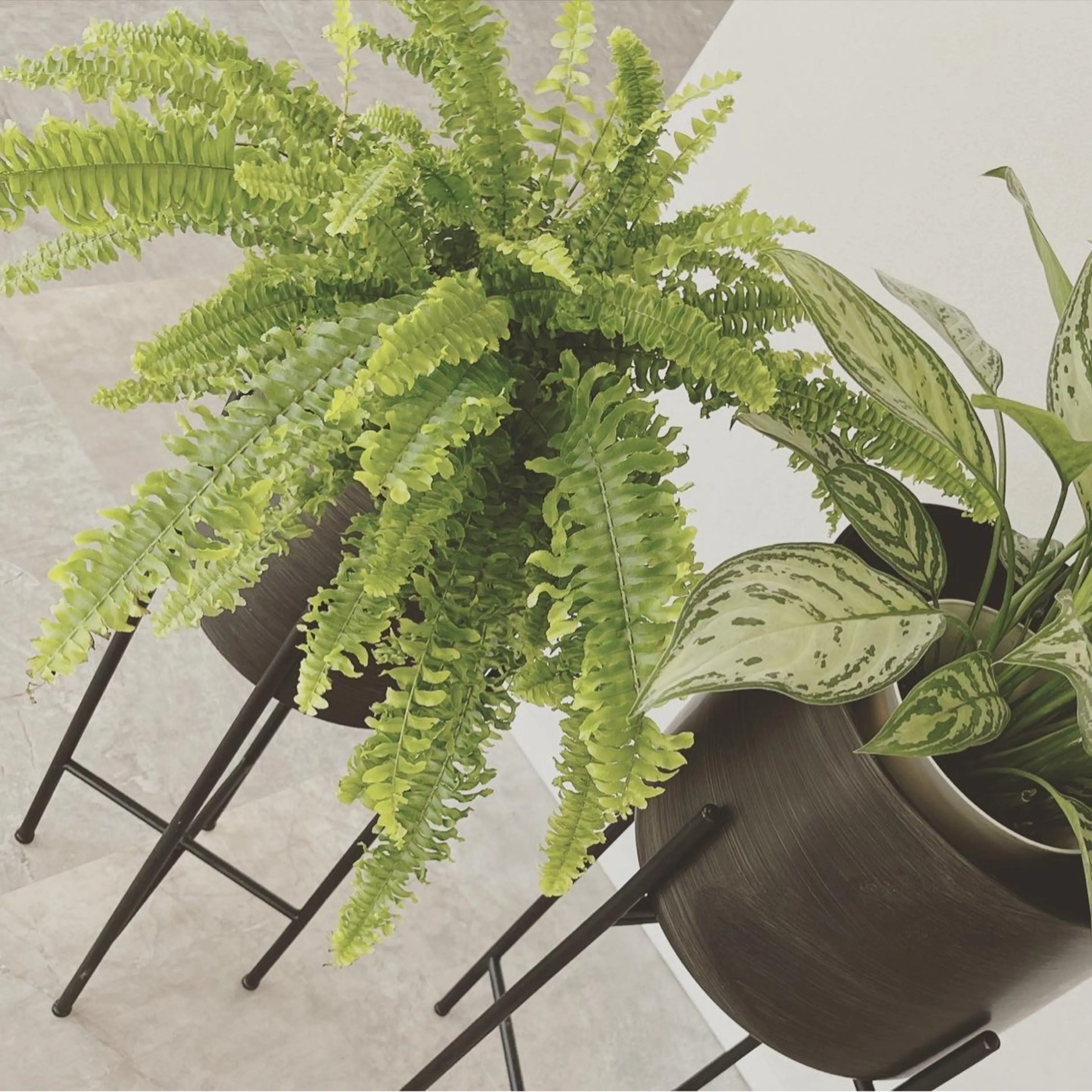 Ravir Omataのマツエク・マツパデザイン