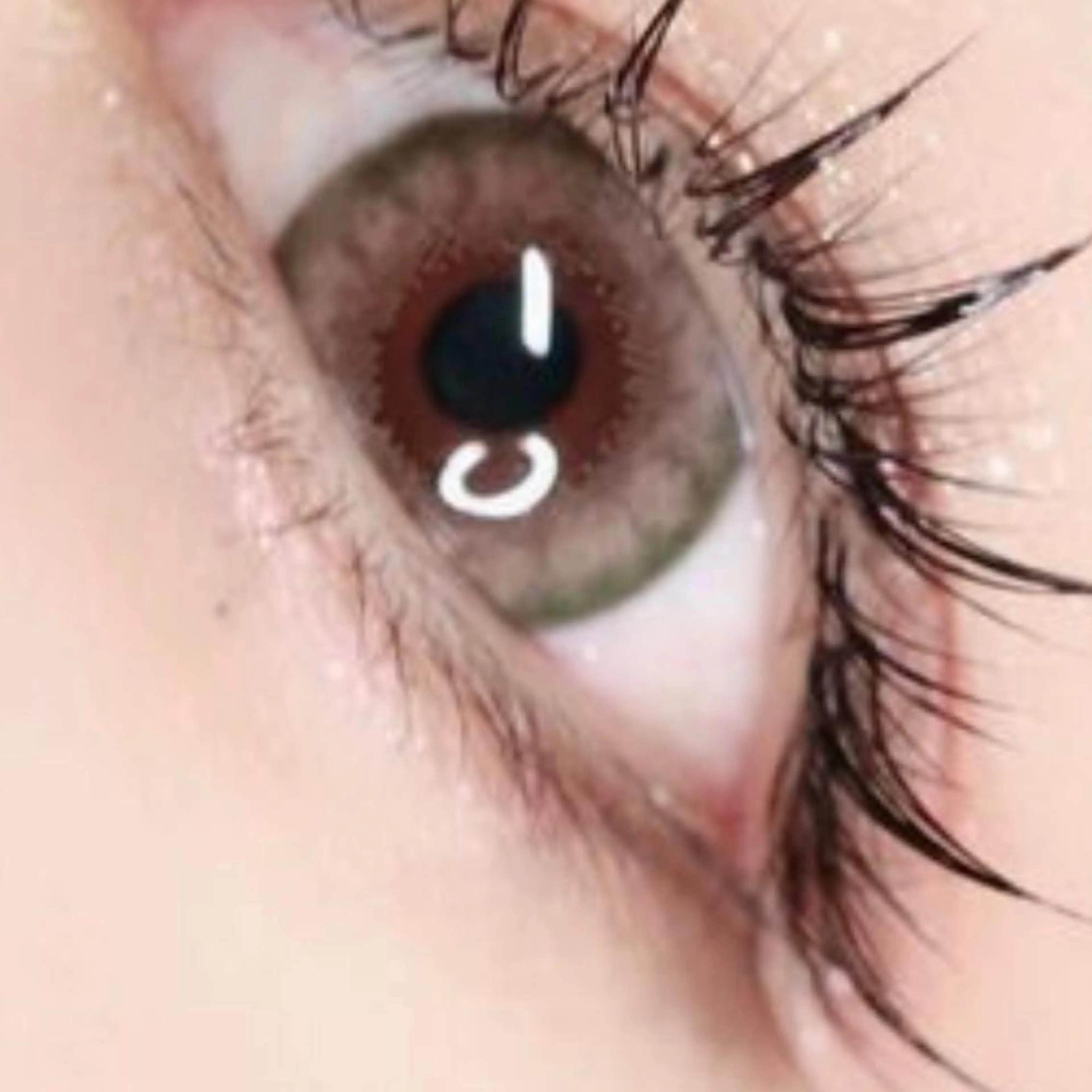 マツエク・マツパ ワンホンマツエク bebe Ayaのマツエク・マツパデザイン