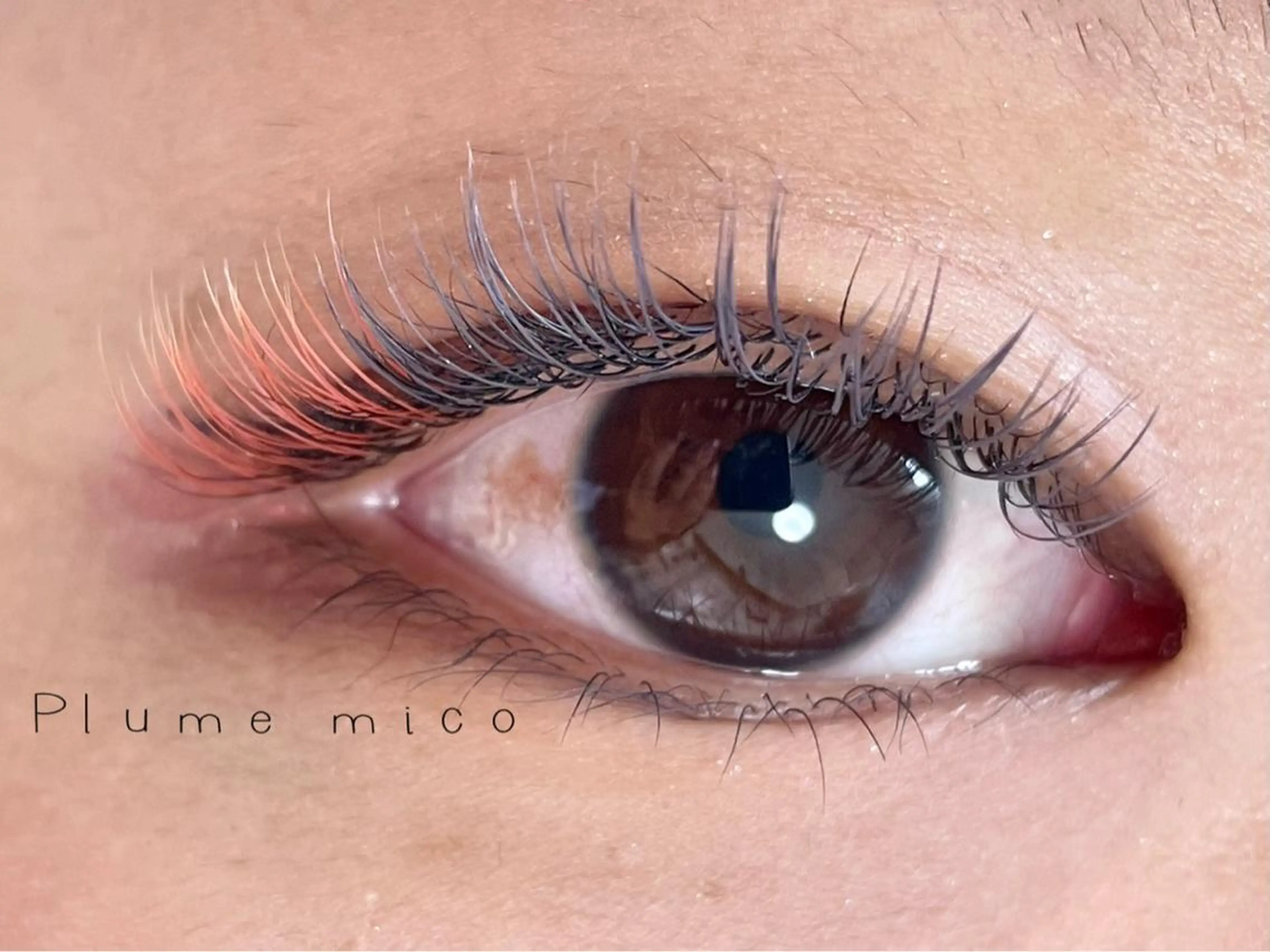 マツエク・マツパ Plume micoのマツエク・マツパデザイン