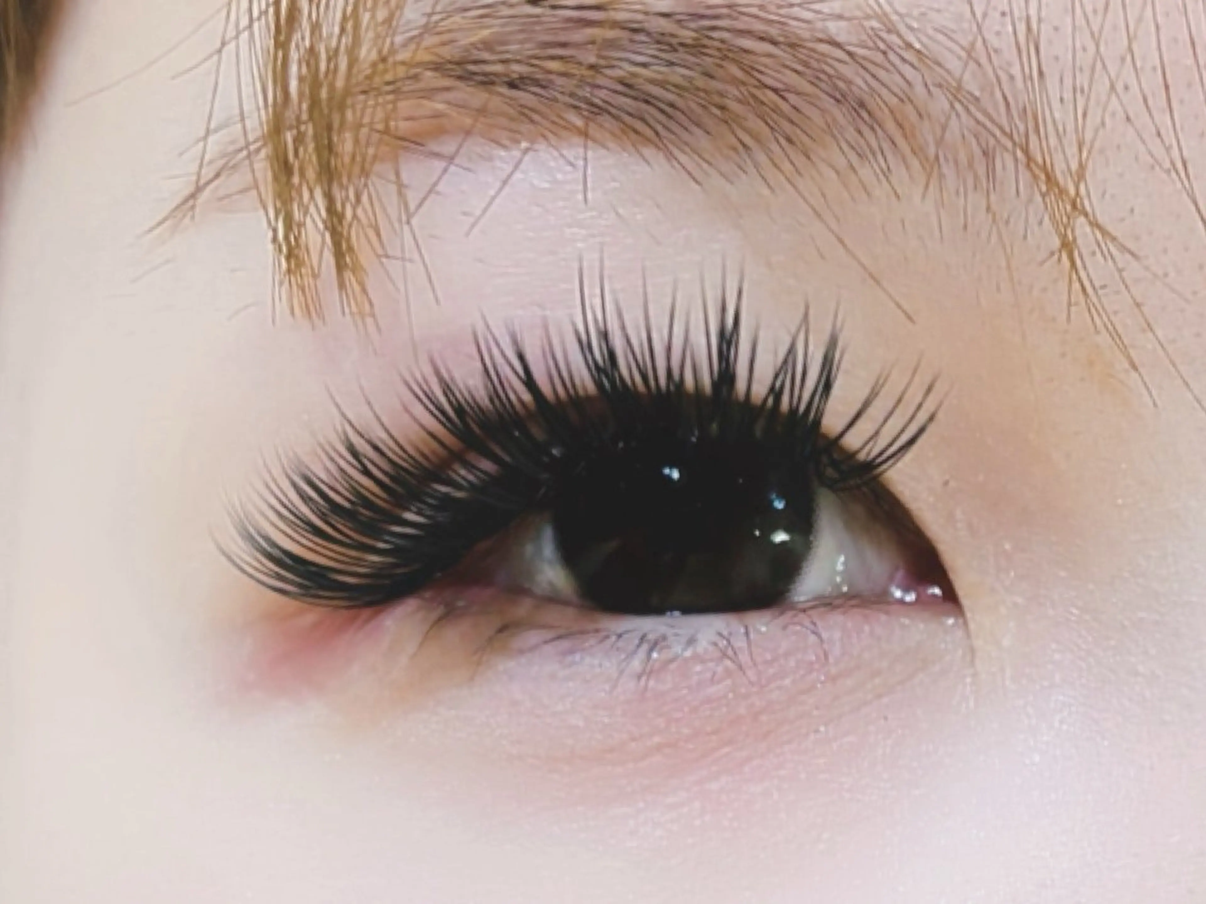 マツエク・マツパ 付け放題 バインドロック 束感まつ毛 フラットラッシュ パリジェンヌラッシュリフト マツエク オーロラ所属・AURORA RINAのマツエク・マツパデザイン