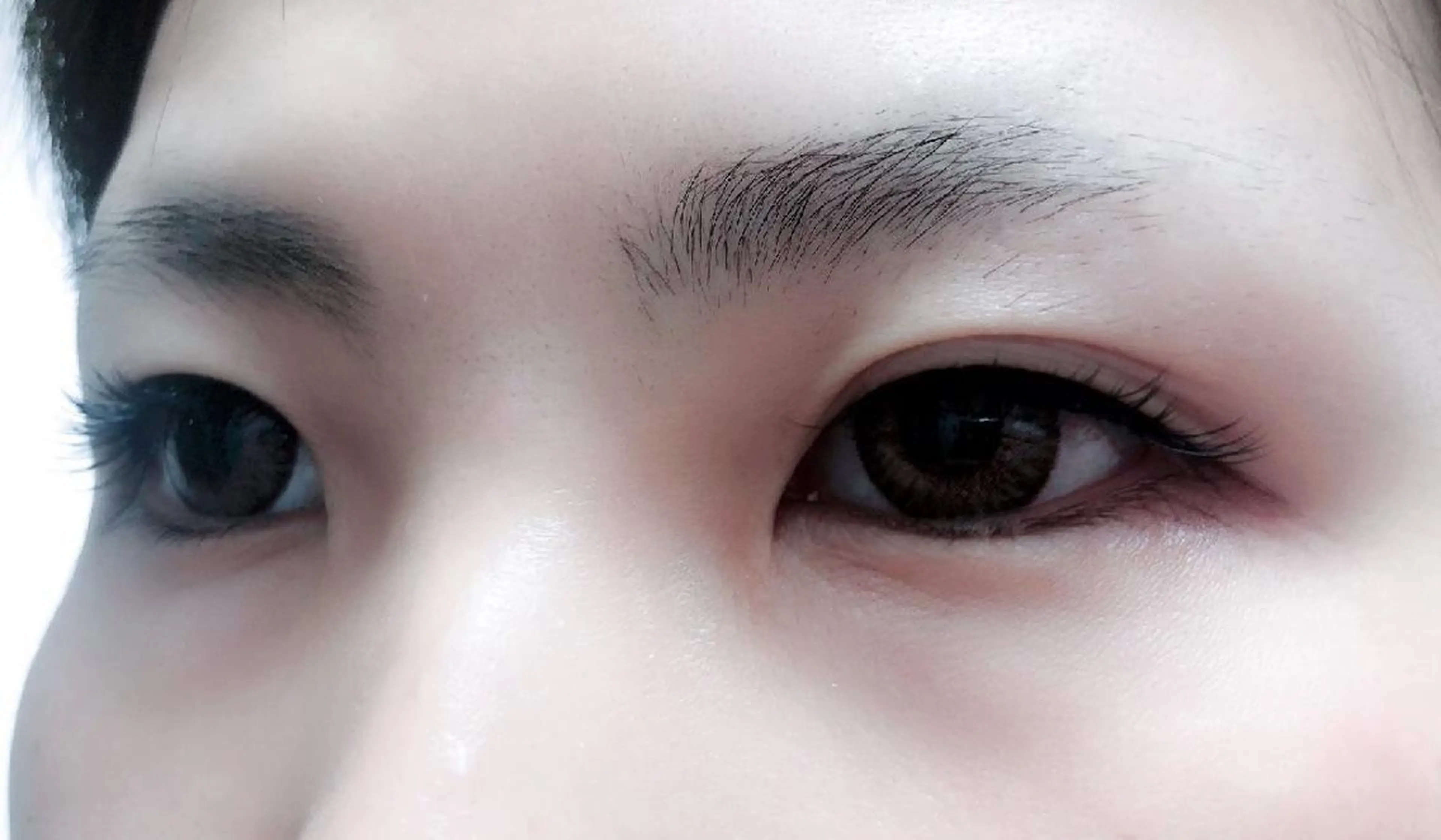 マツエク・マツパ 付け放題 フラットラッシュ セーブル セクシー 下まつげエクステ 吉岡 ゆうなのマツエク・マツパデザイン