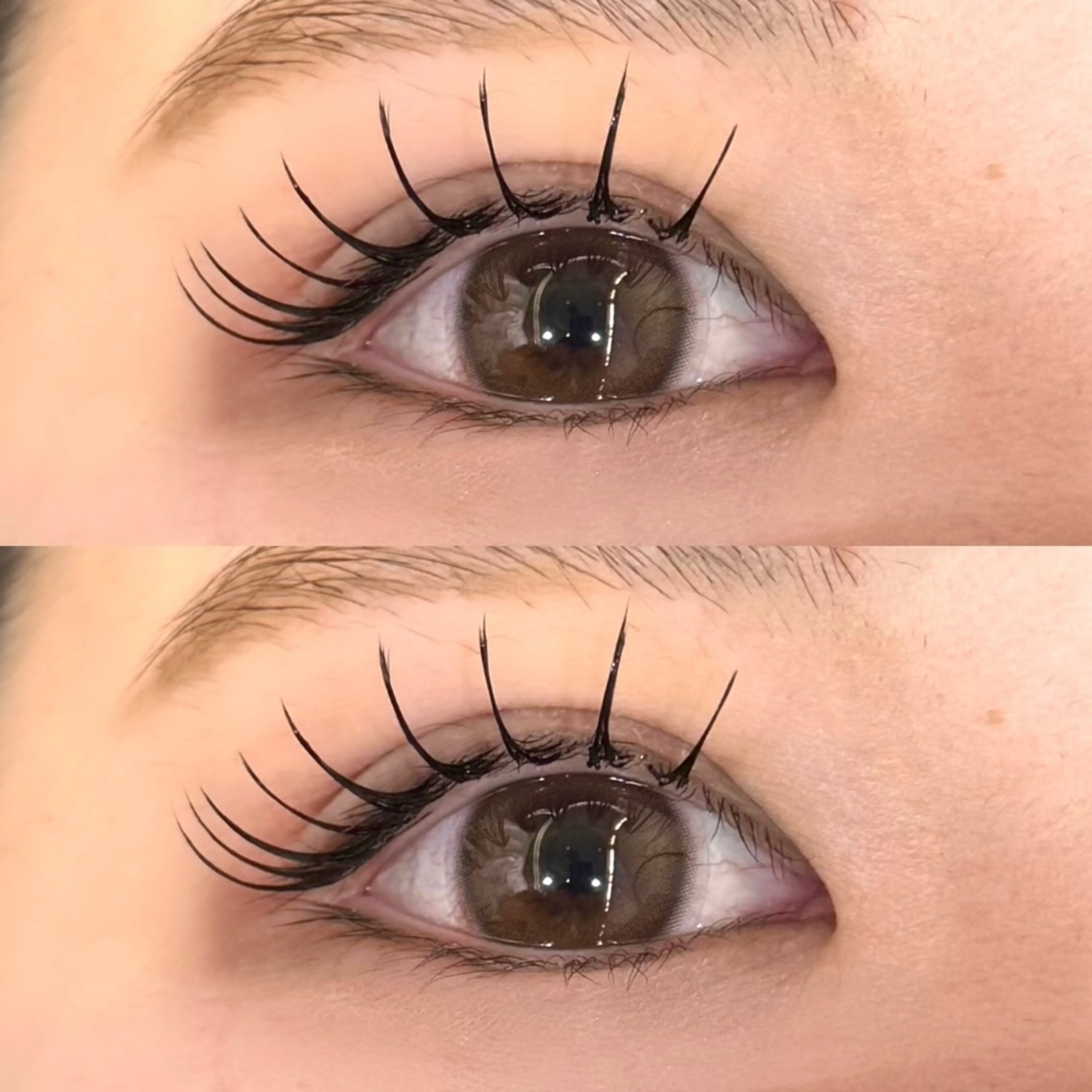 ⚠️当日予約の方⚠️オフあり໒꒱高持続LEDエクステ140本の写真