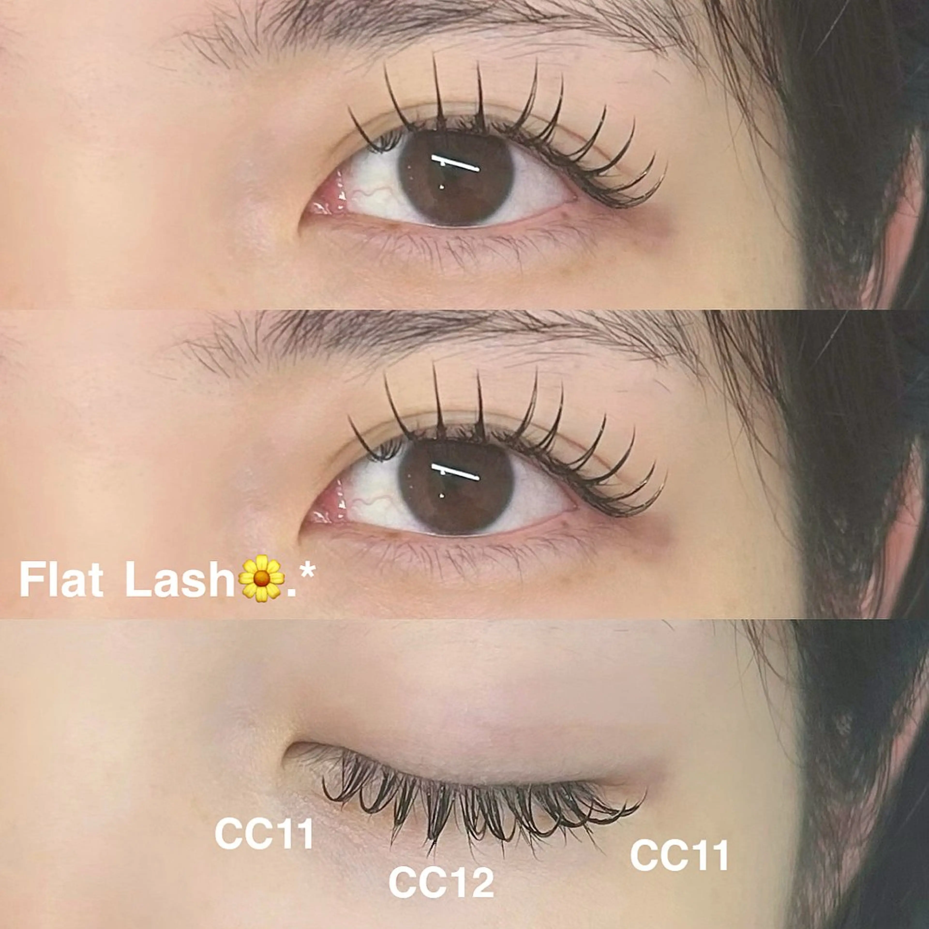 🌷オフ可+フラットラッシュ 100本+コーティング束感仕上げ🌷の写真