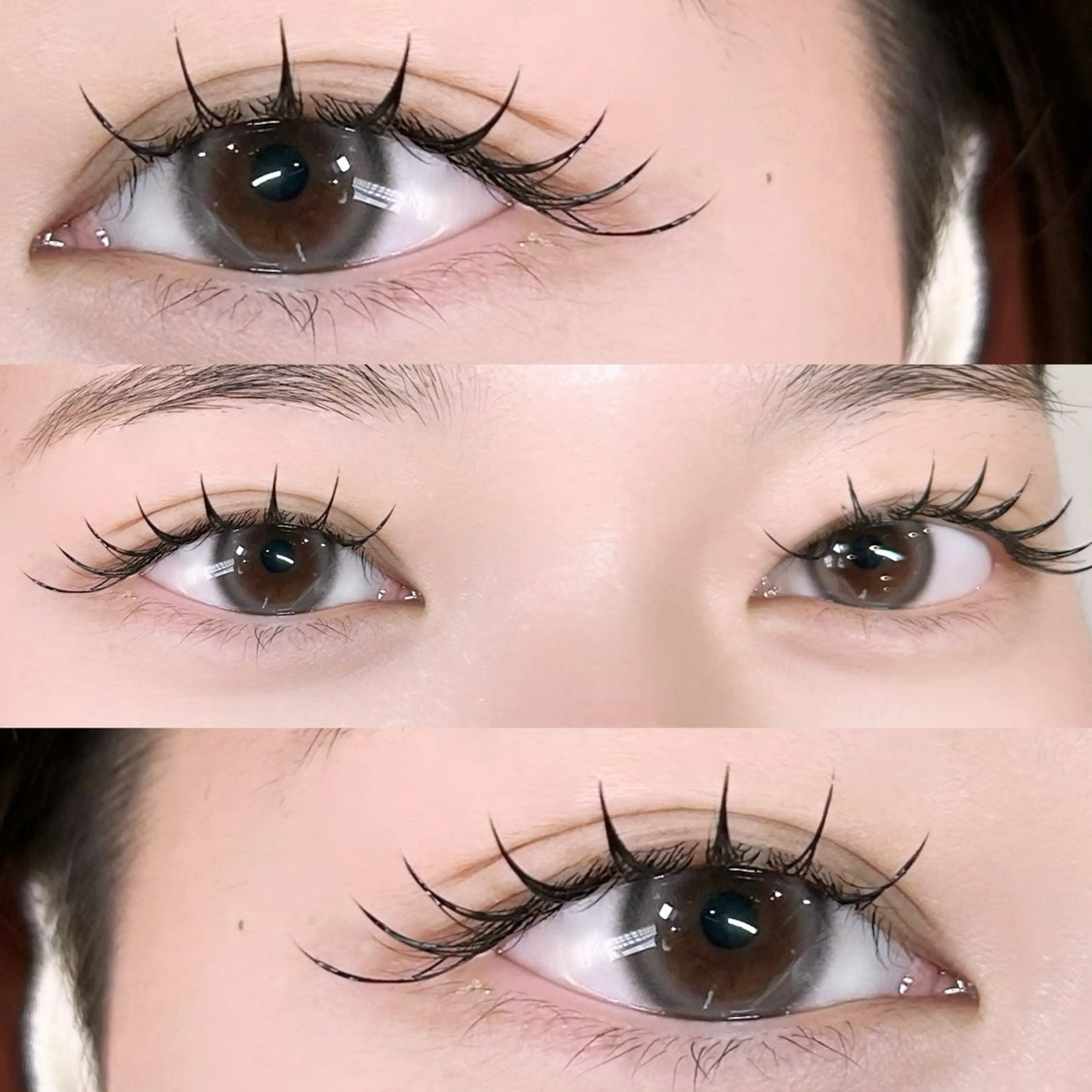 フラットラッシュ80本の写真