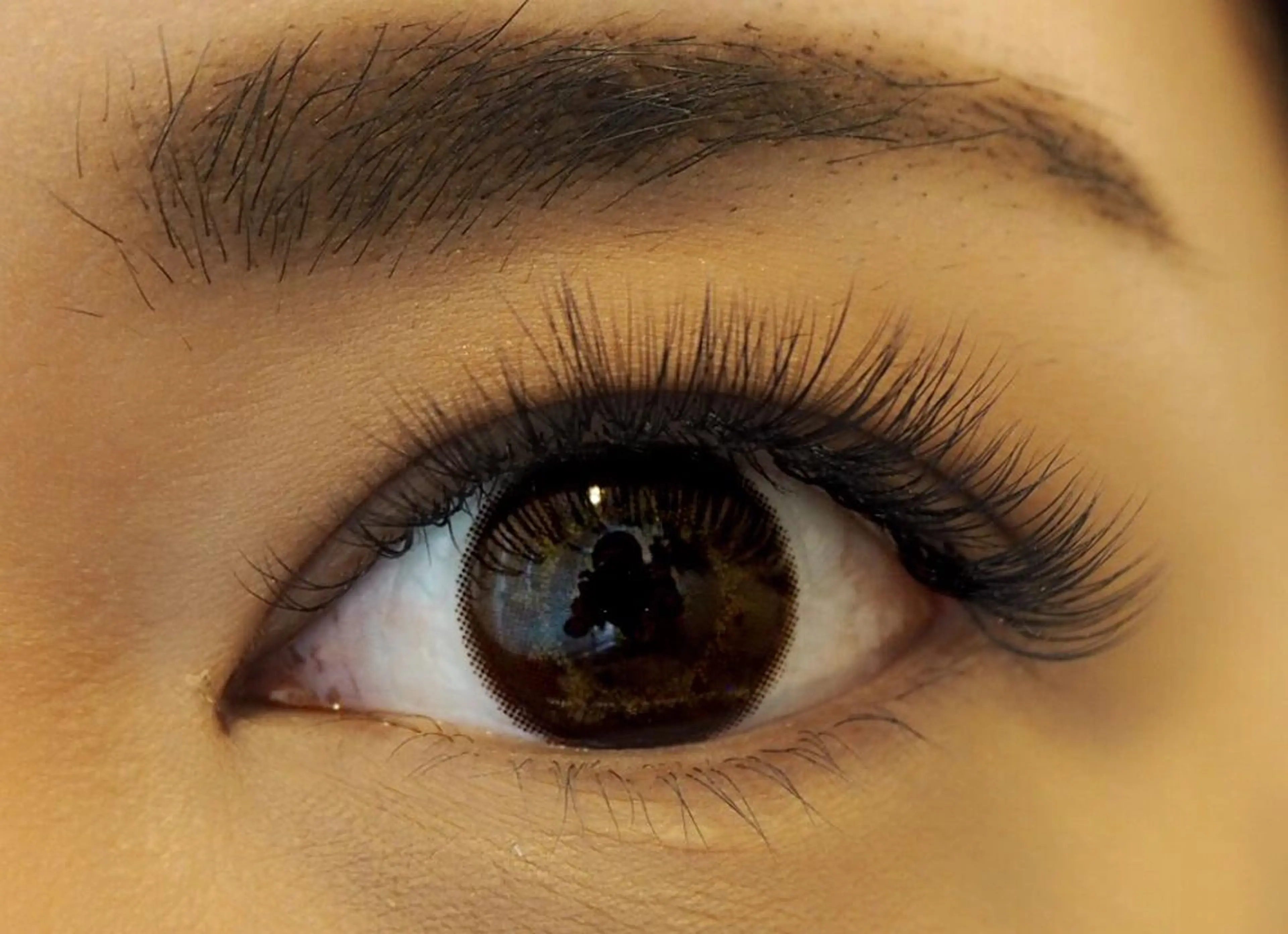 【新規2回目まで】ボリュームラッシュ🌼【80束】¥6000(約320本)【100束】¥7000(約400本)の写真