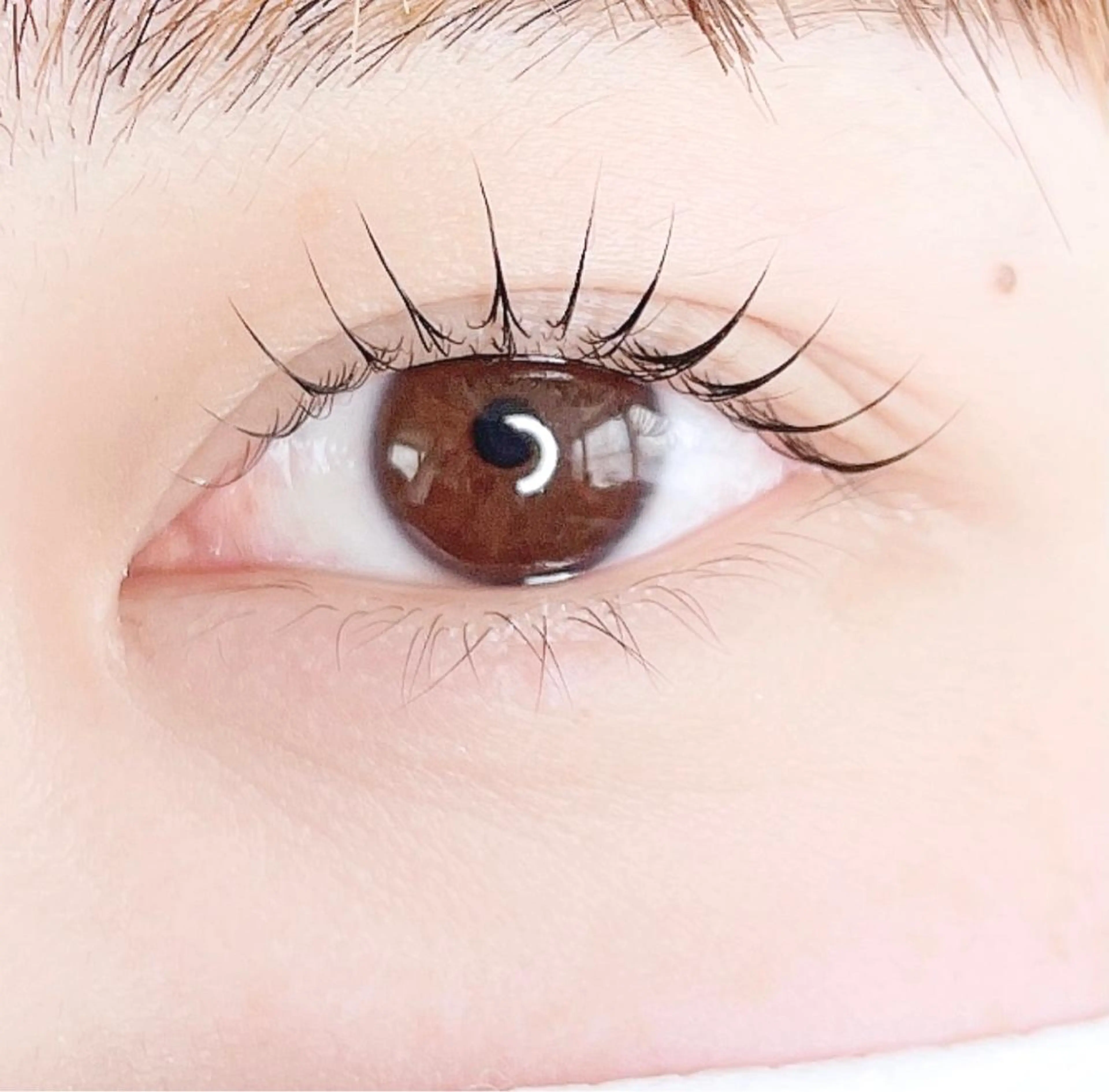 マツエク・マツパ アイラッシュ&ネイル ありるのマツエク・マツパデザイン