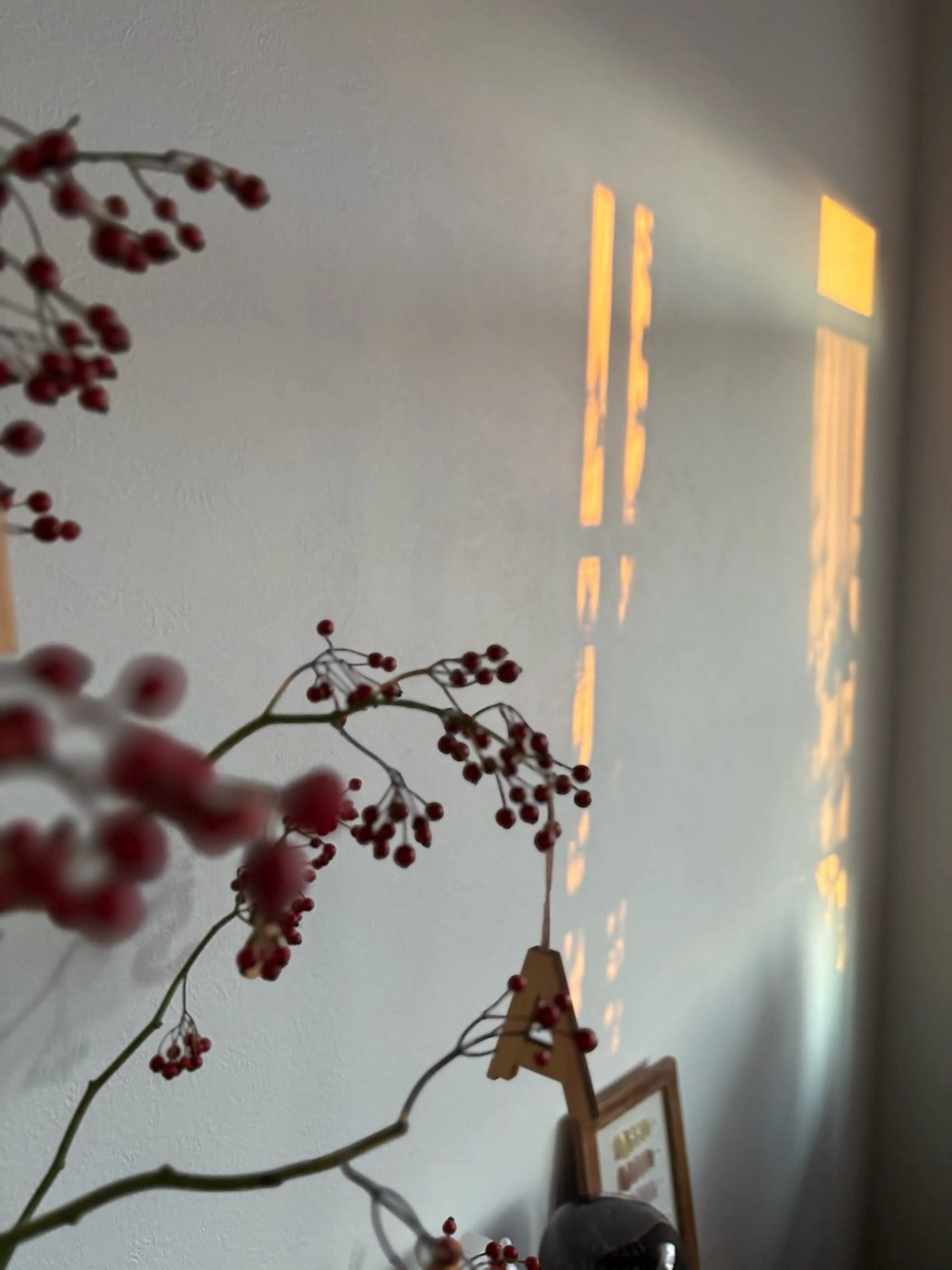 ネイル 🌲🌳🚪iiit o🌲🌳🌲のネイルデザイン