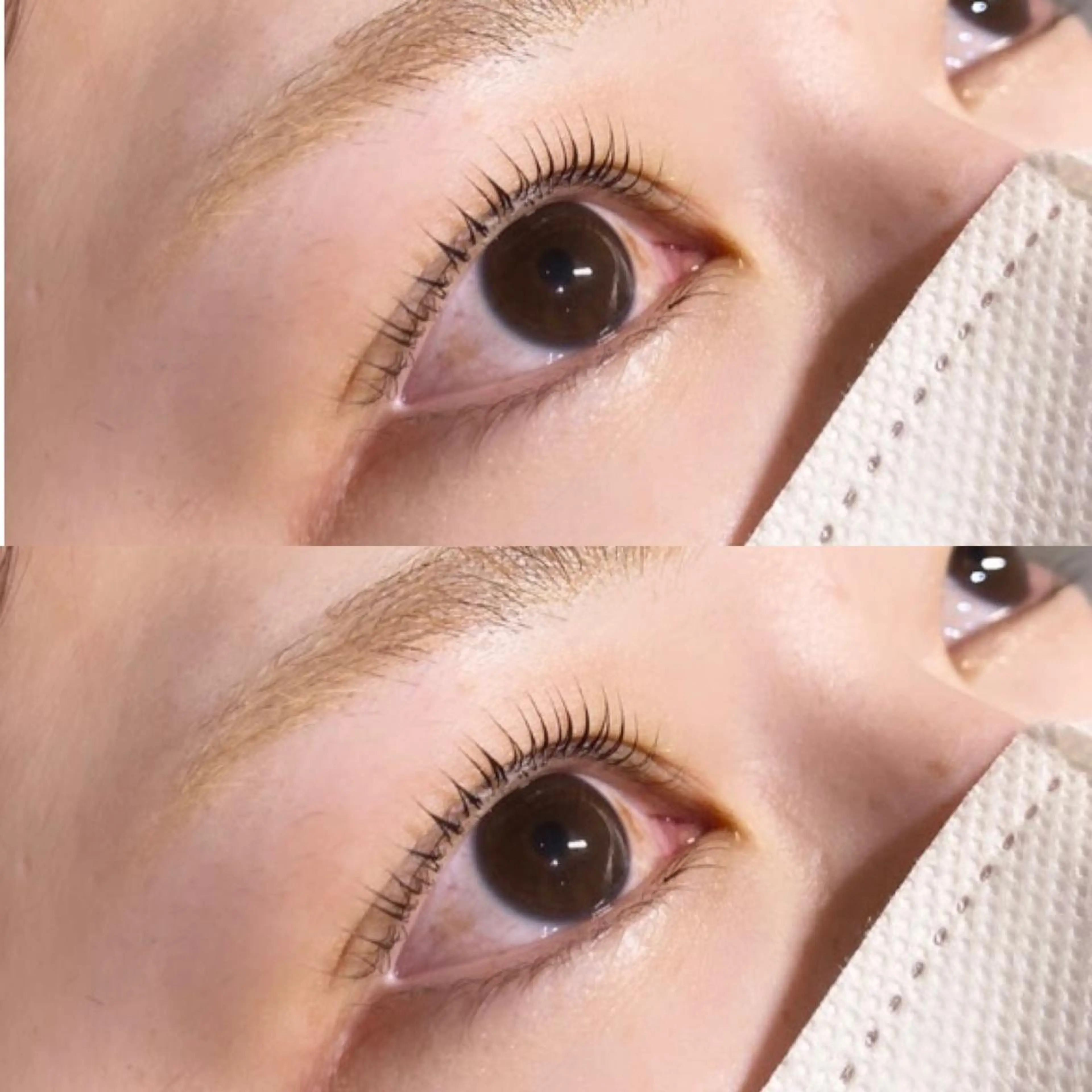 パーマ ELLY 🍸eyelly横浜のマツエク・マツパデザイン