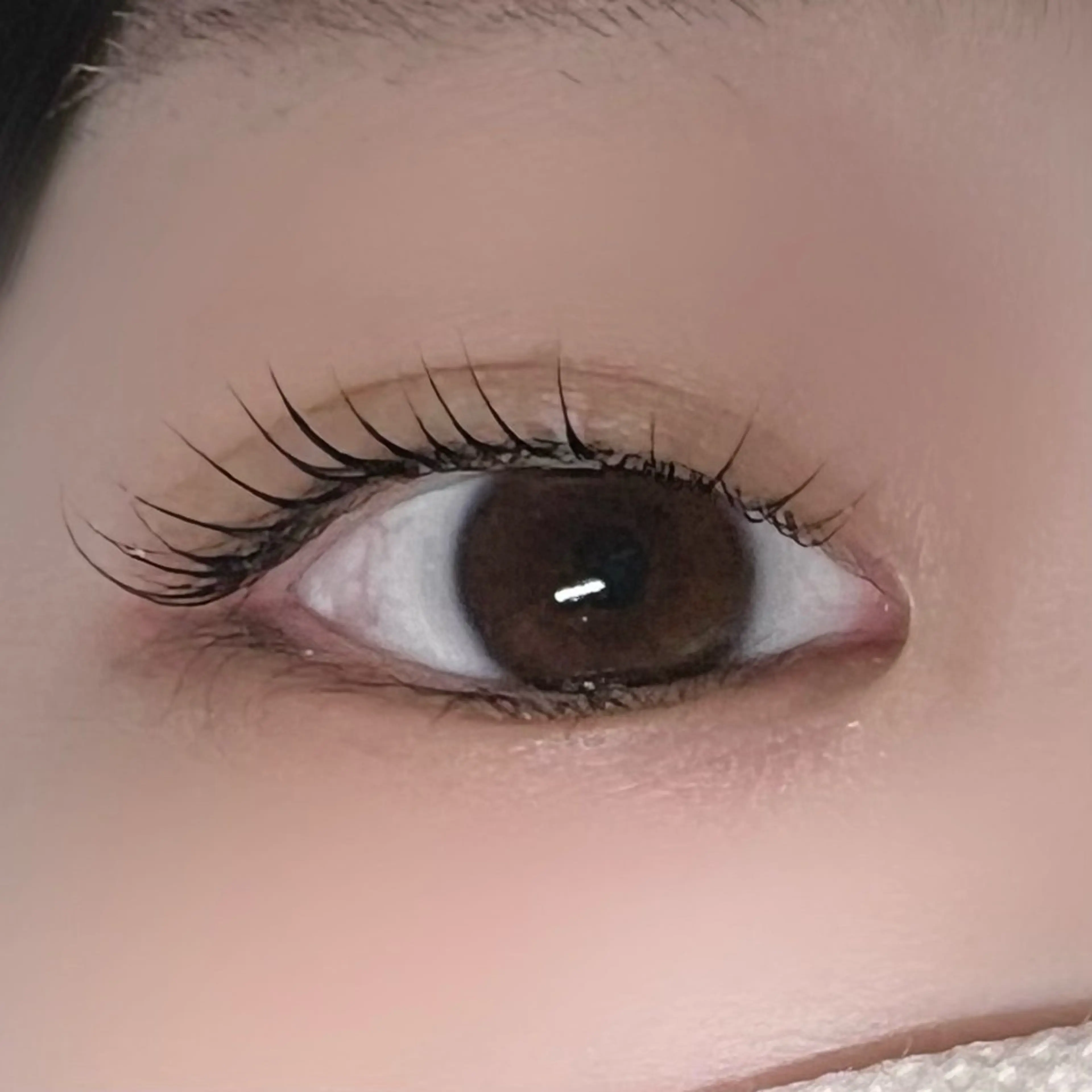 マツエク・マツパ 垢抜け眉WAX専門 ちゅるんまつげ|鎌倉の眉毛・アイブロウイメージ