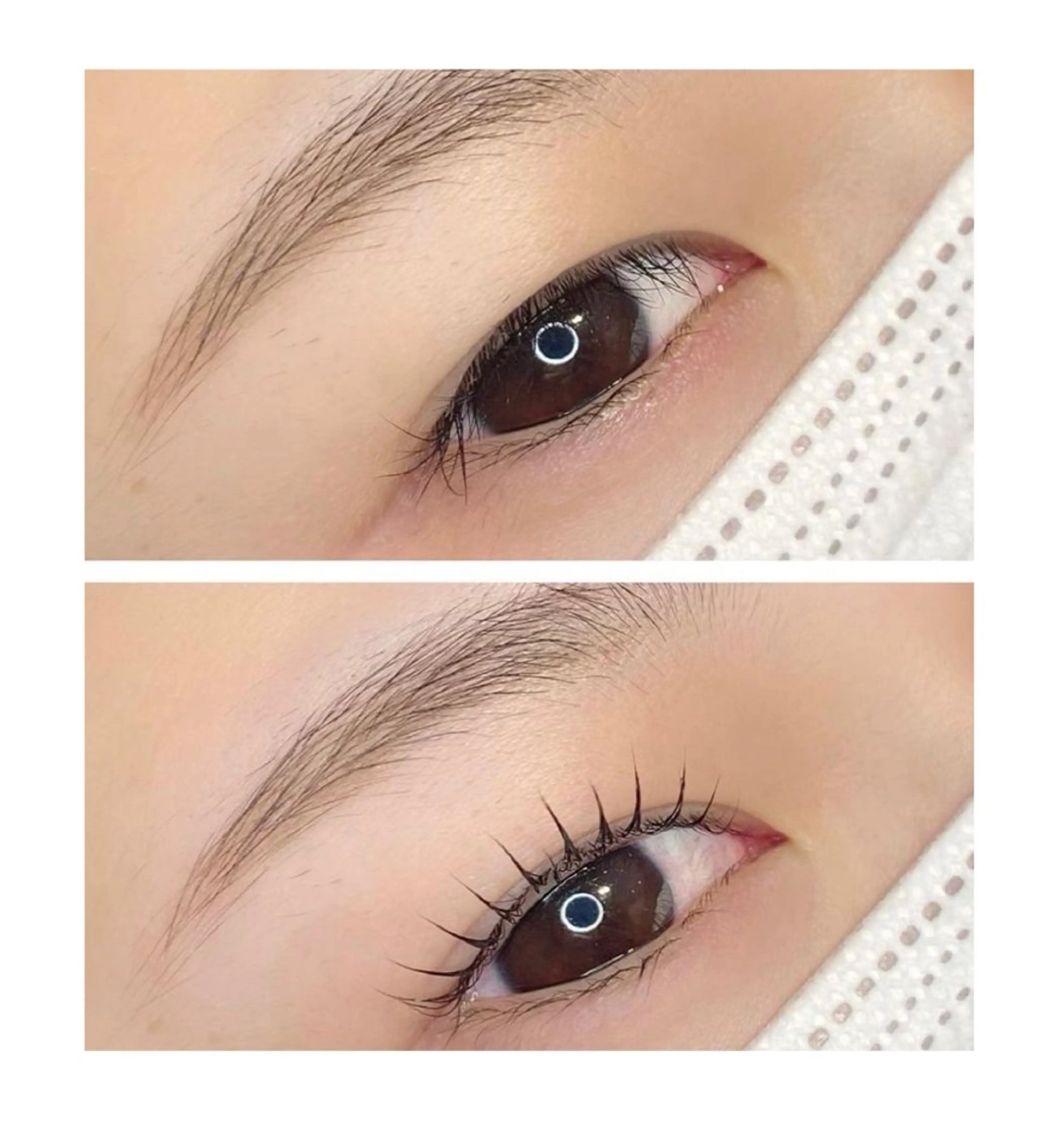 マツエク・マツパ Reine eyelashのマツエク・マツパデザイン