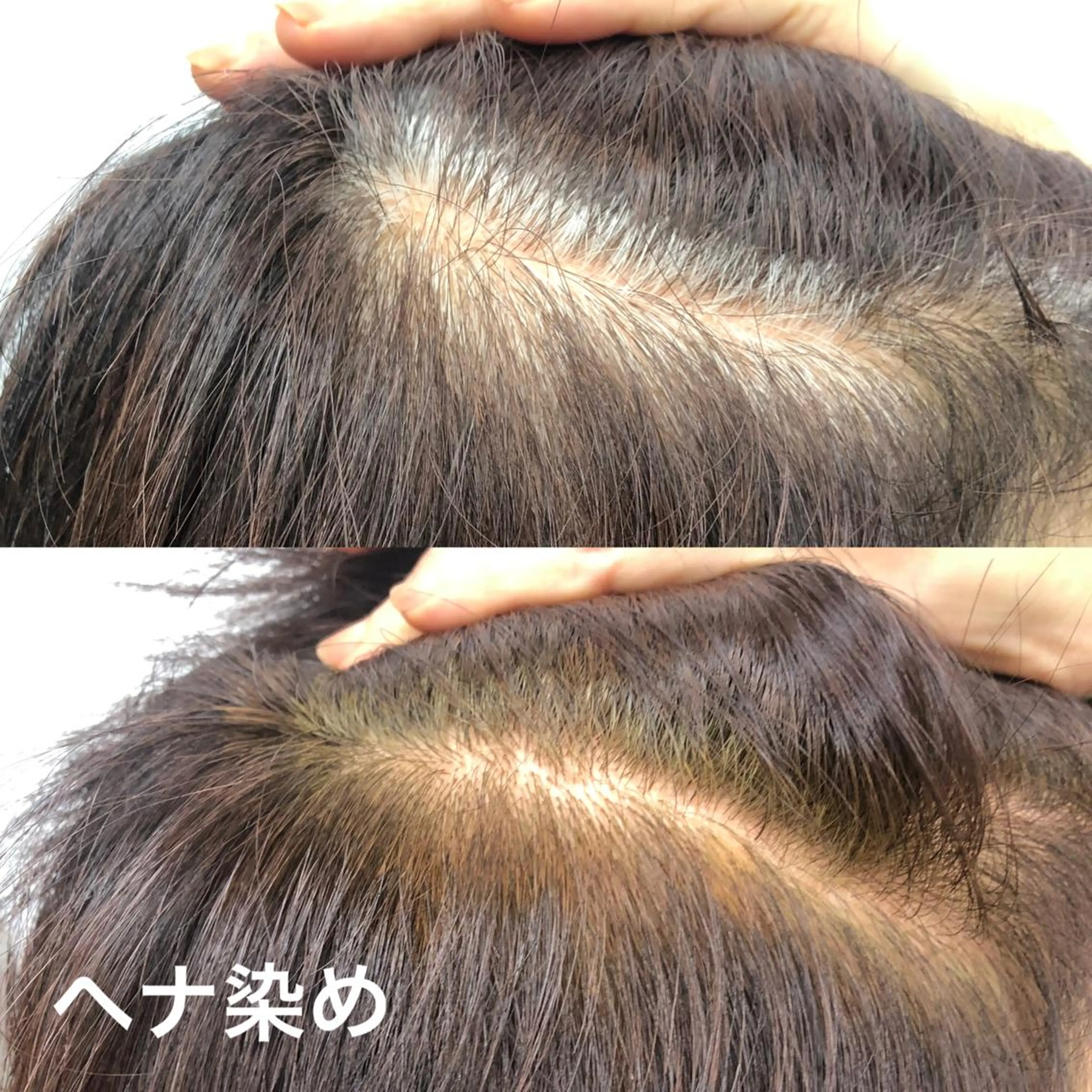 カラー フィールドパパ所属・リラクゼーション ヘナサロンのヘアスタイル