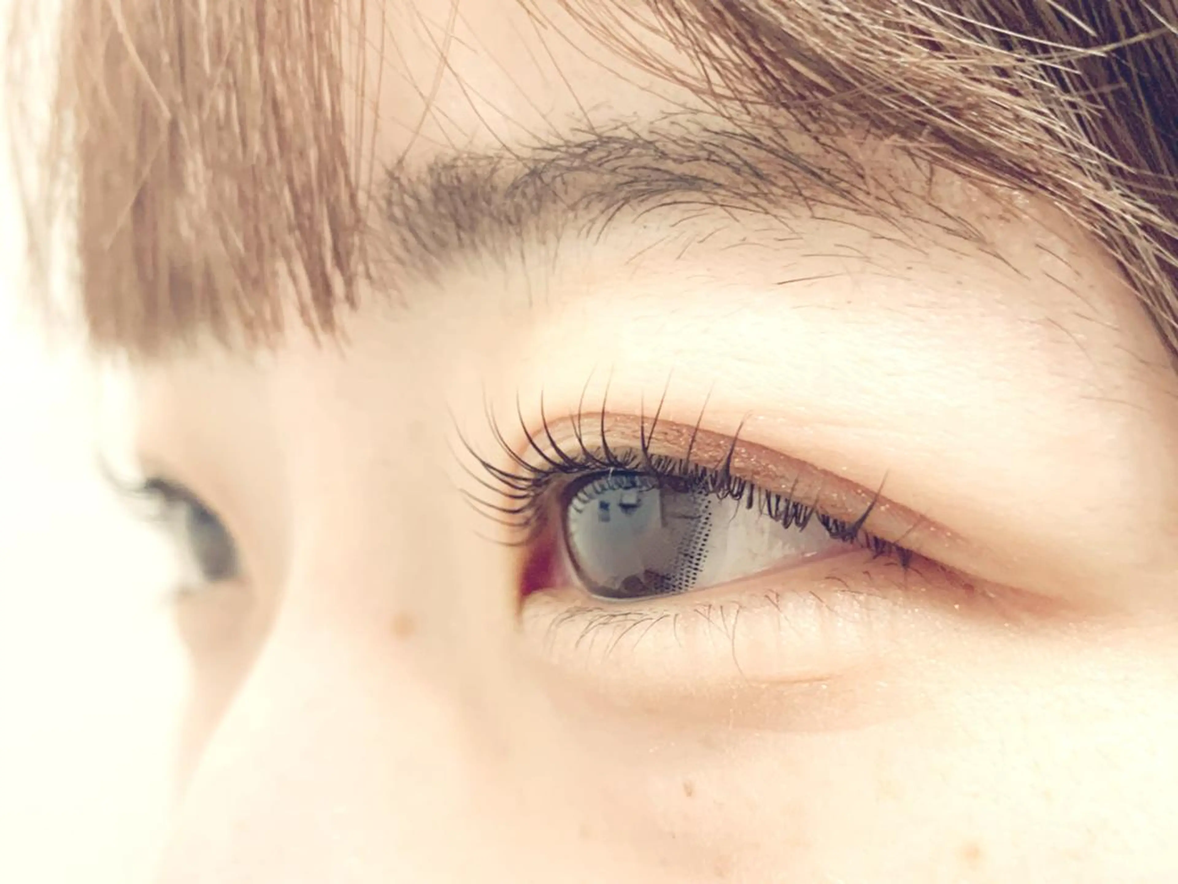 マツエク・マツパ マツパ やまにたゆか🌿 Nordlysのマツエク・マツパデザイン