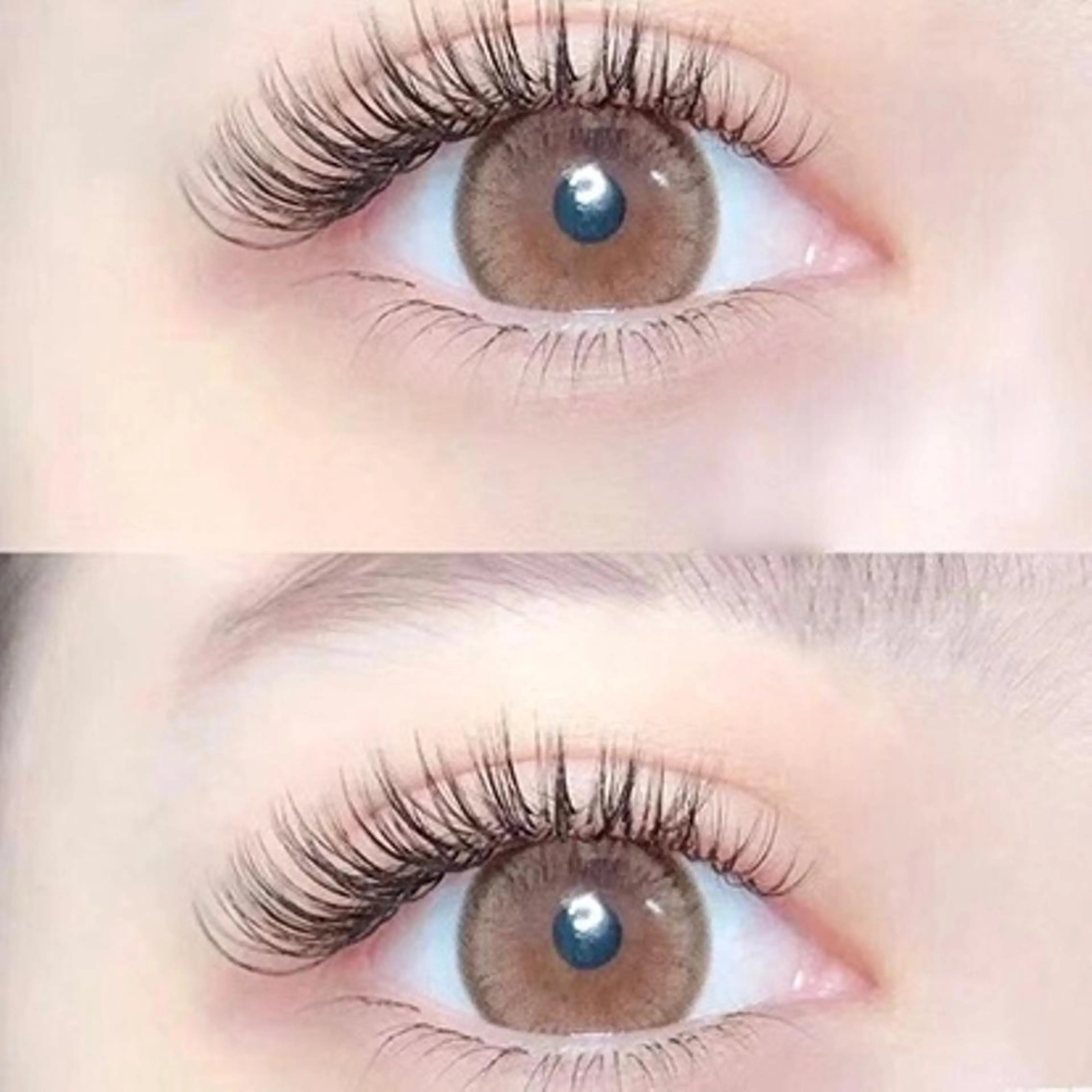 マツエク・マツパ ラブニールハトル 市川の眉毛・アイブロウイメージ