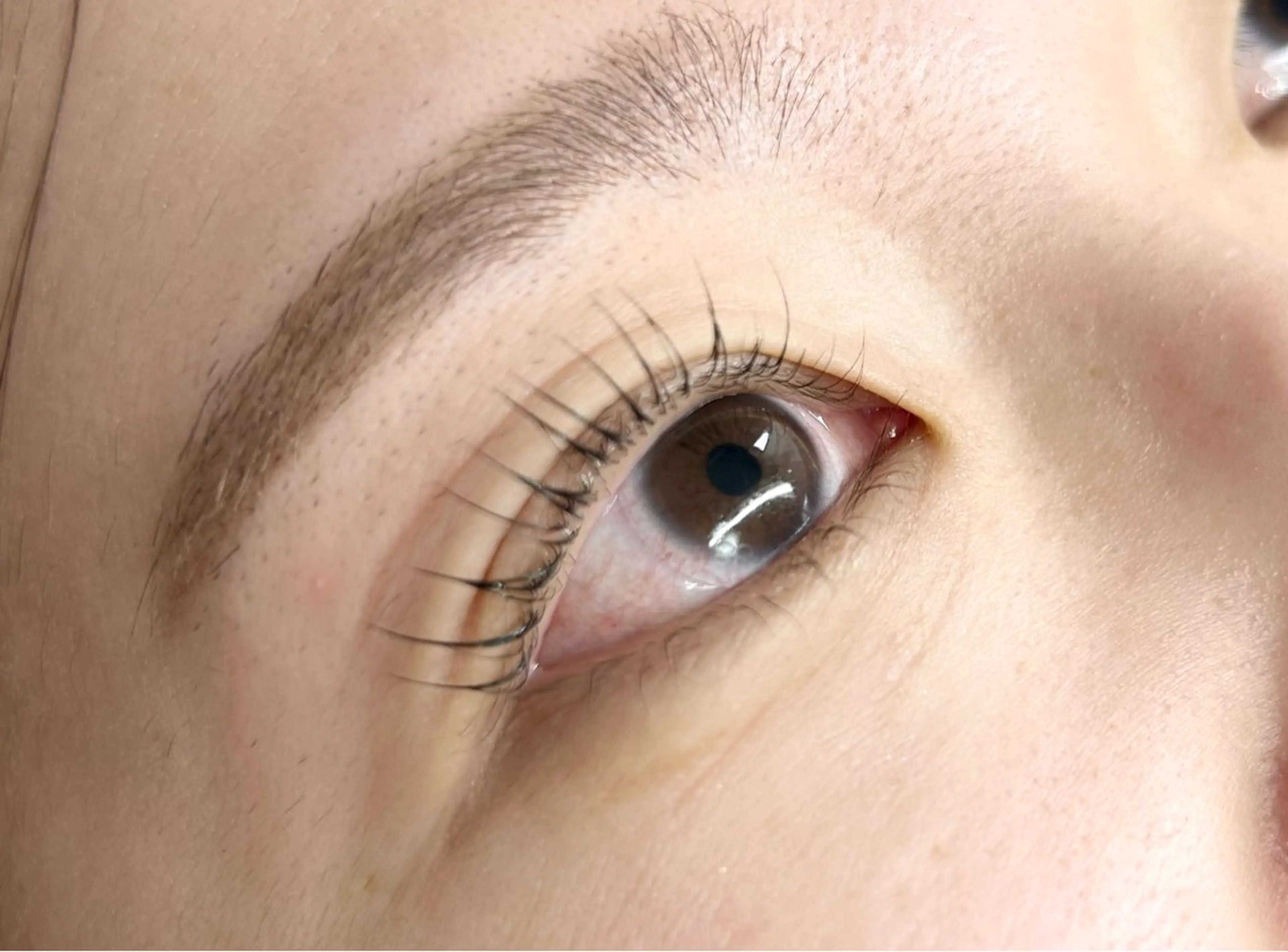 眉毛ワックス(鎮静モデリングマスク付き)¥4980→3500の写真