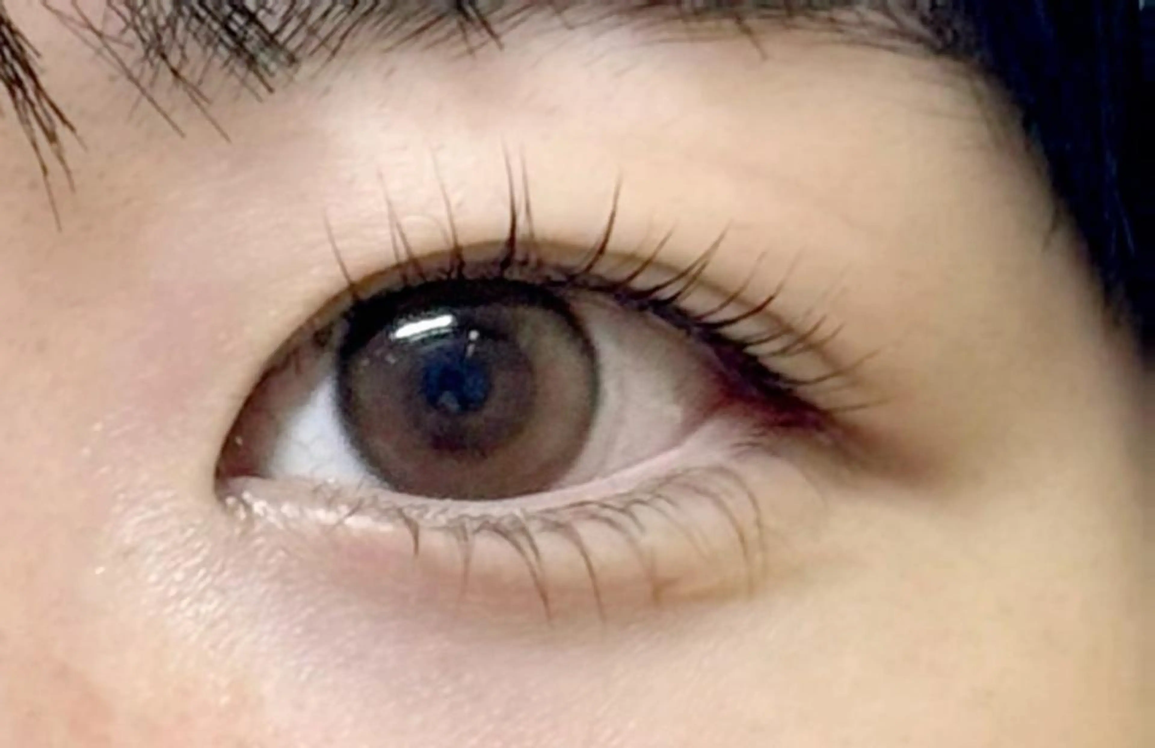 限定❤︎上下まつげパーマの写真