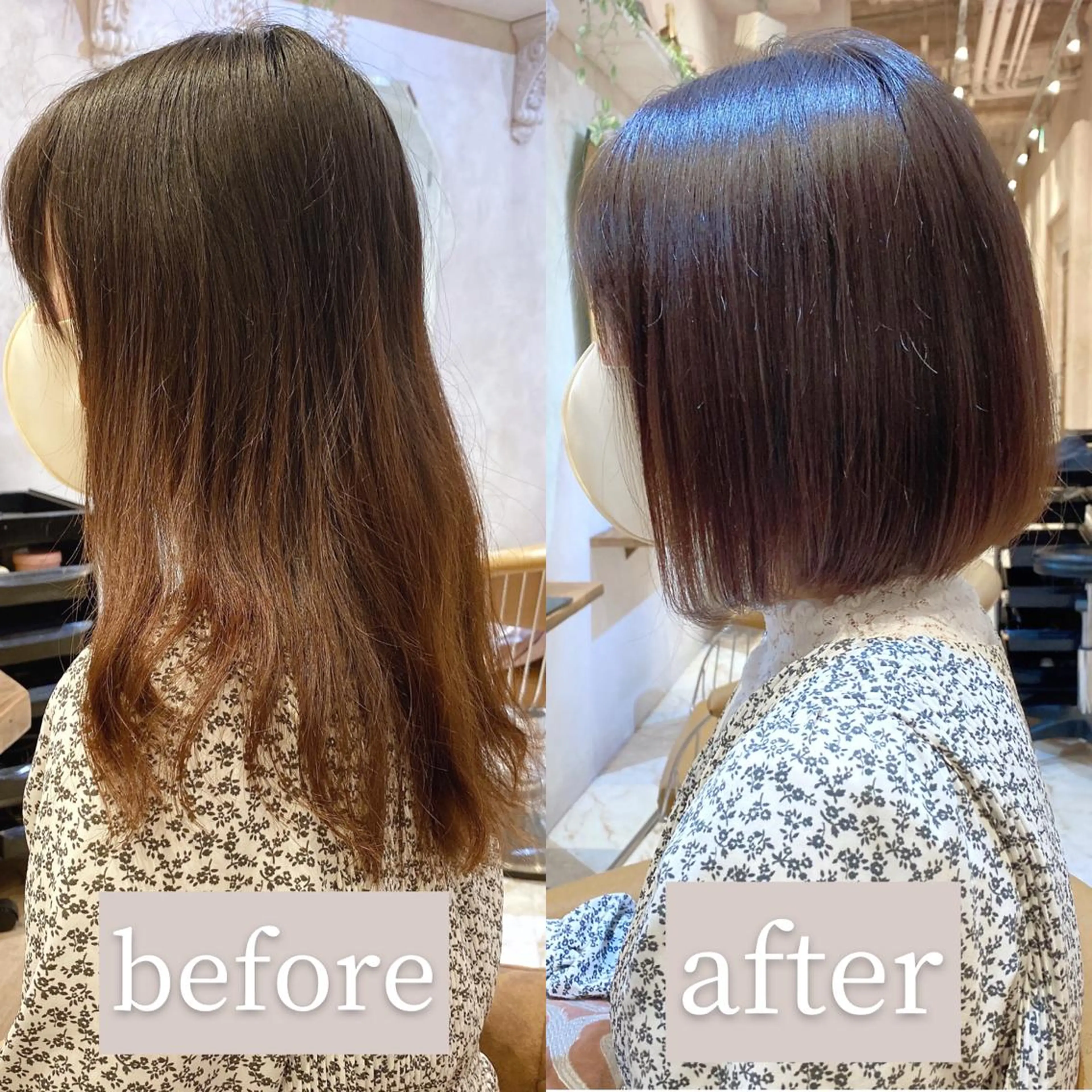 ショート カラー ボブ カット ヘアカラー トリートメント ツヤ髪になりたい方へ 🩷柴田知亜希のヘアスタイル