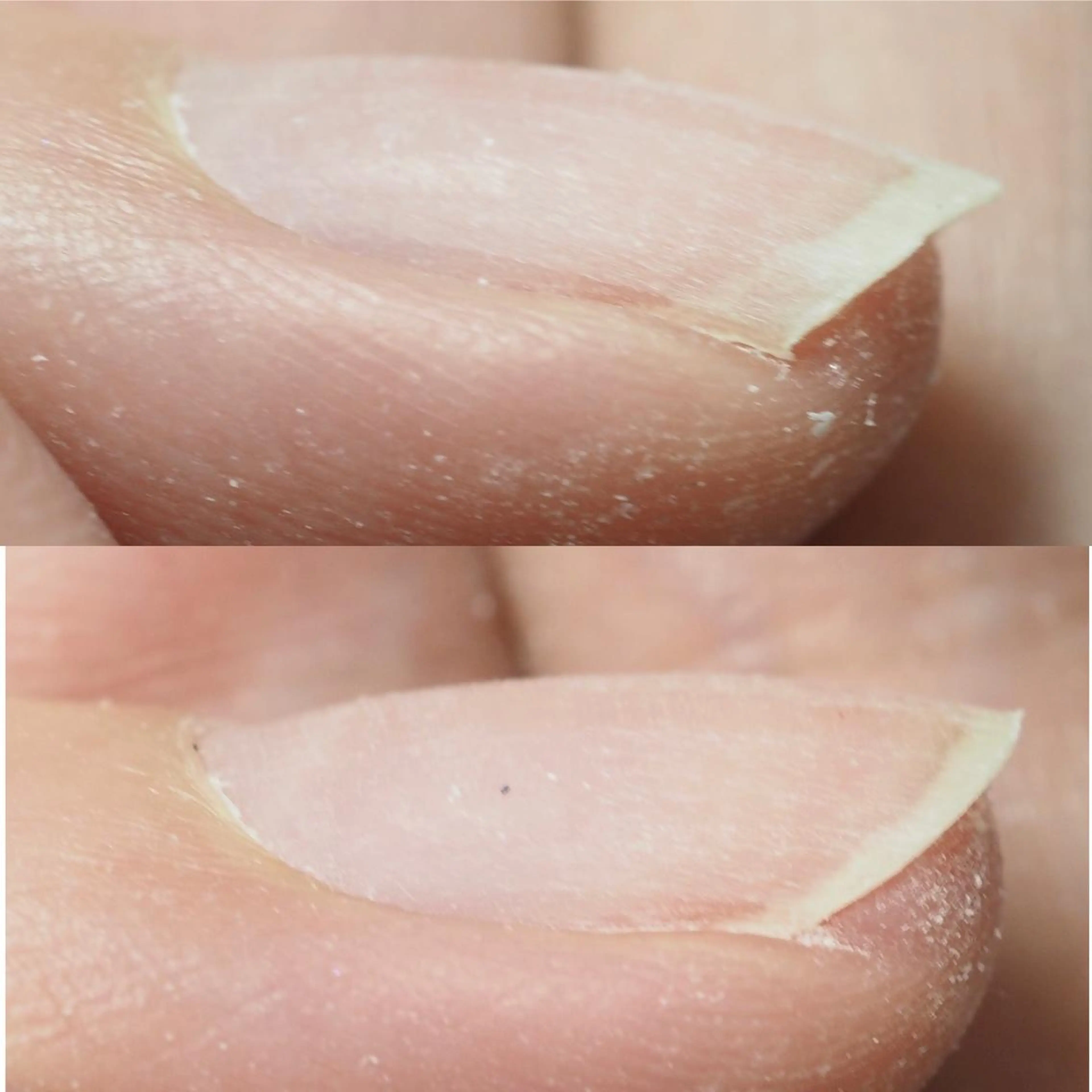 ネイル ネイルアーティスト アリスのネイルデザイン