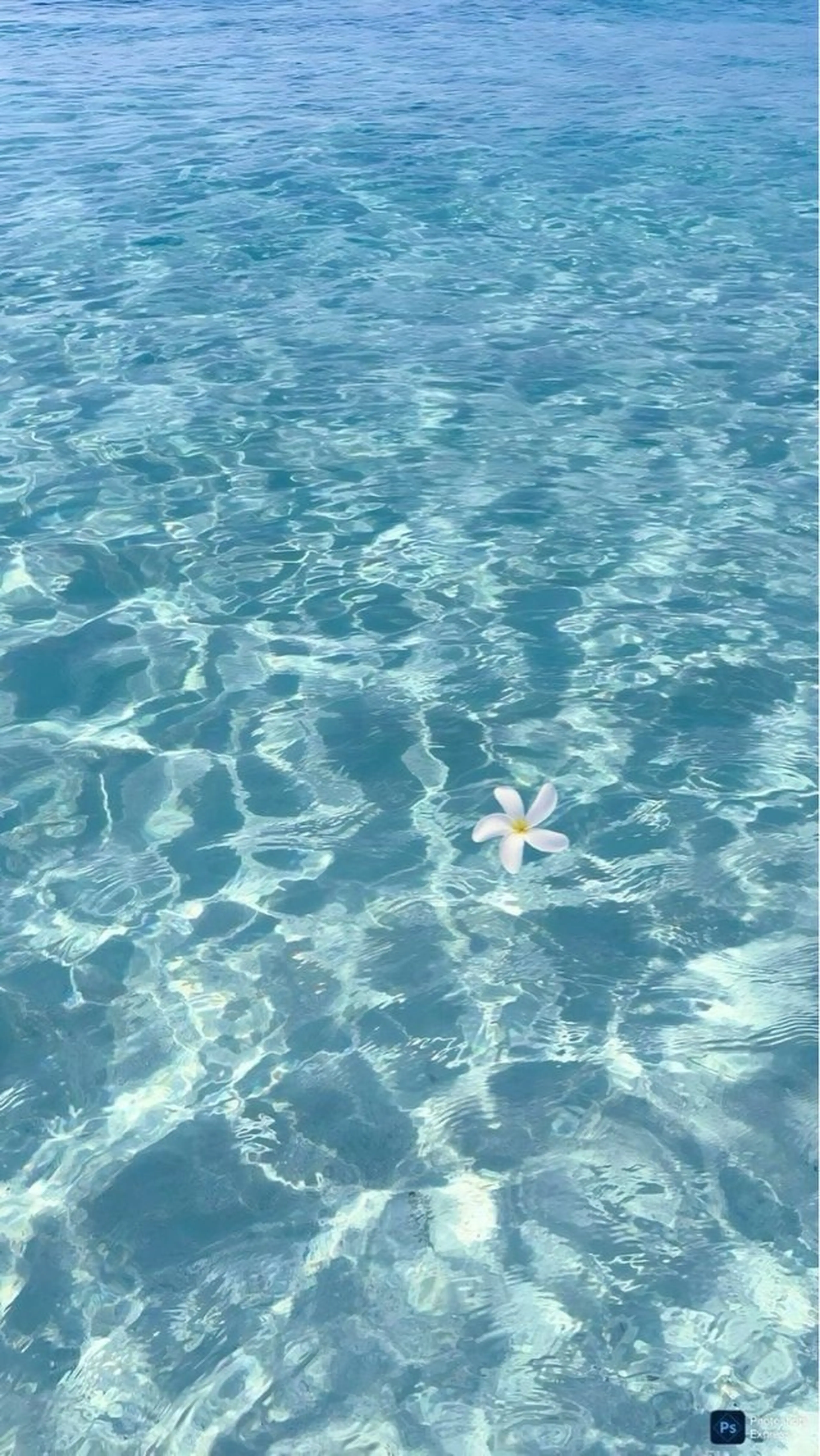 ネイル asuka 🐰のネイルデザイン