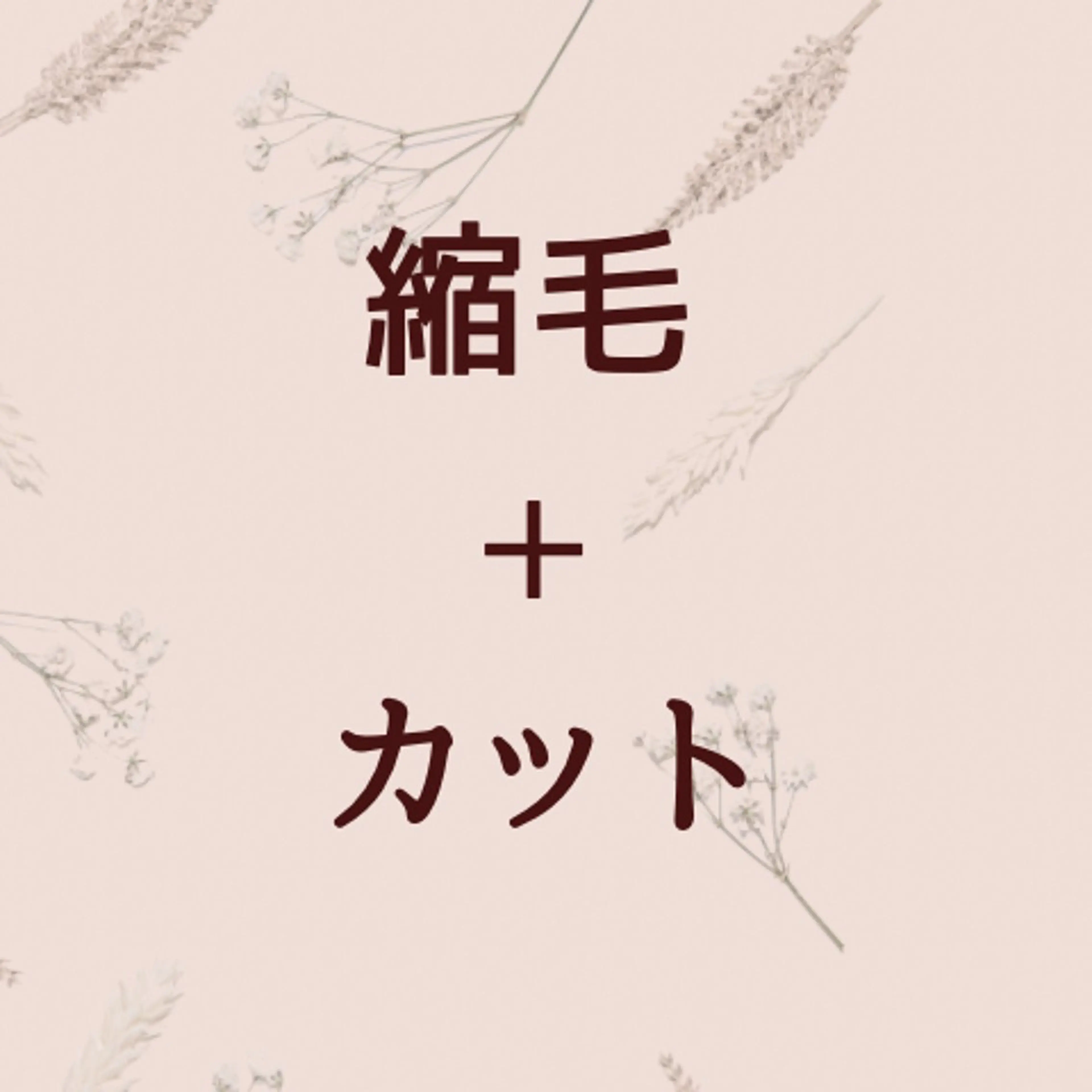 【王道】髪質改善縮毛矯正＋カットの写真