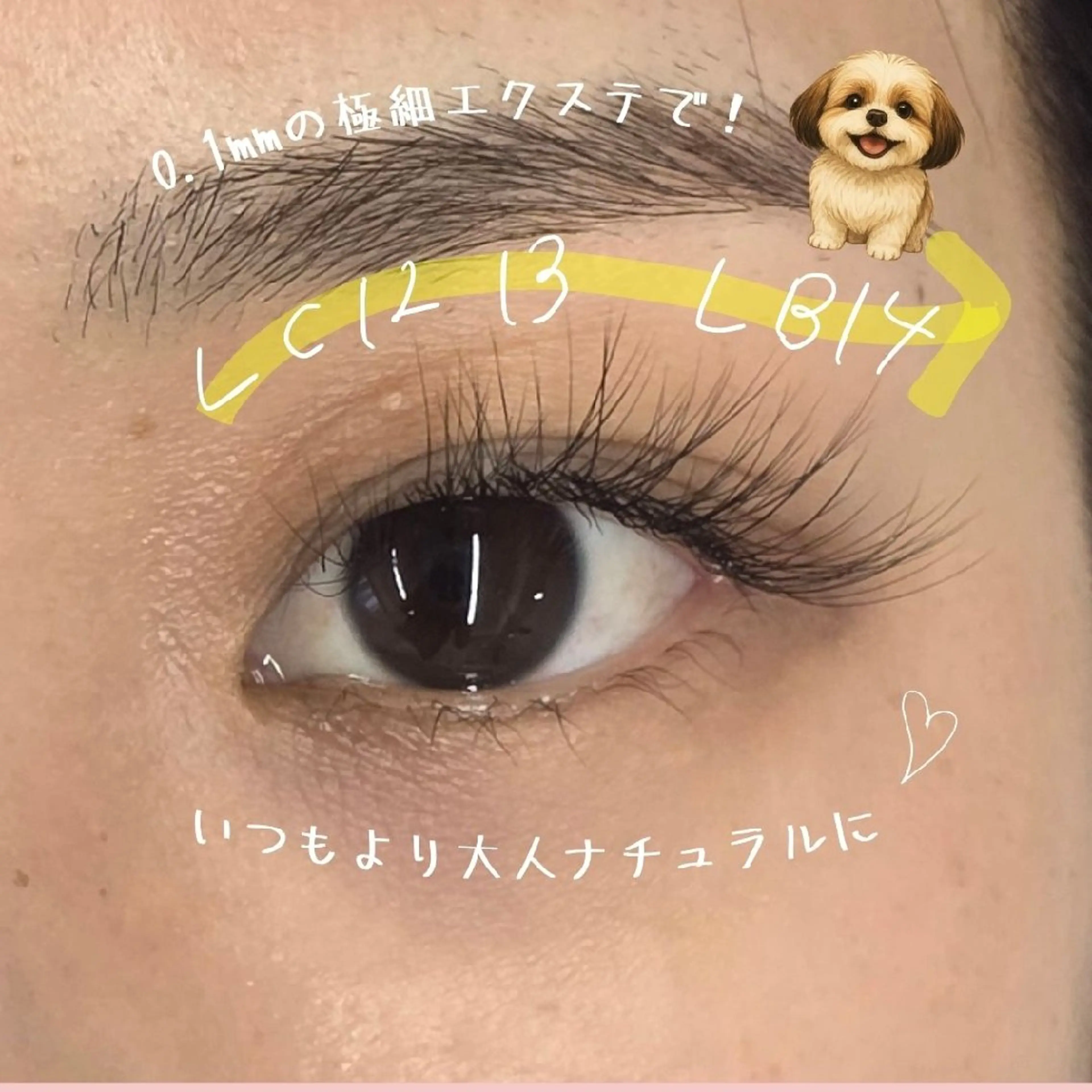 マツエク・マツパ キュート ナチュラル マツエク フジ ワラのマツエク・マツパデザイン