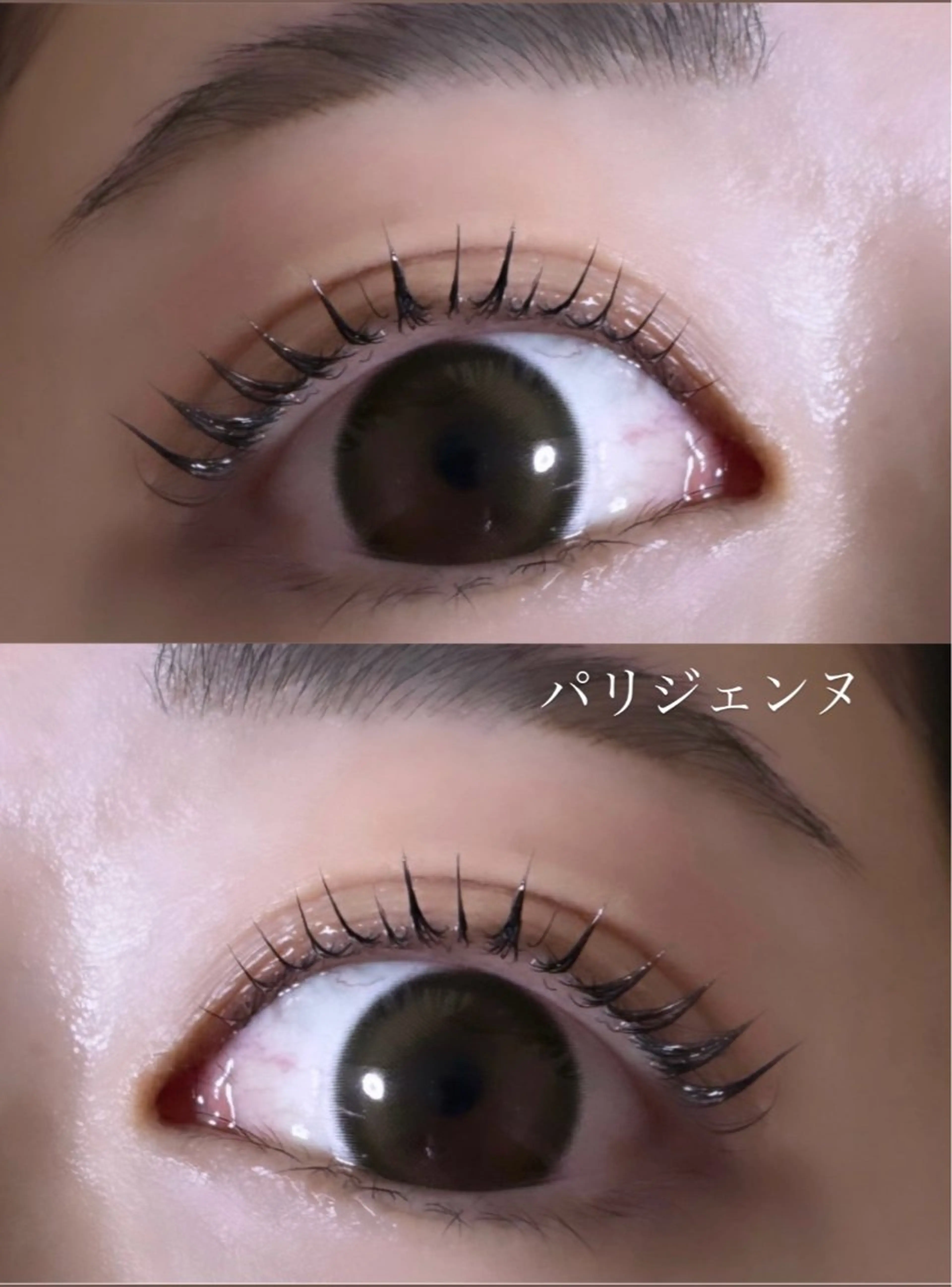 マツエク・マツパ パリジェンヌラッシュリフト マリーテレジア 🎀KONNO🎀のマツエク・マツパデザイン
