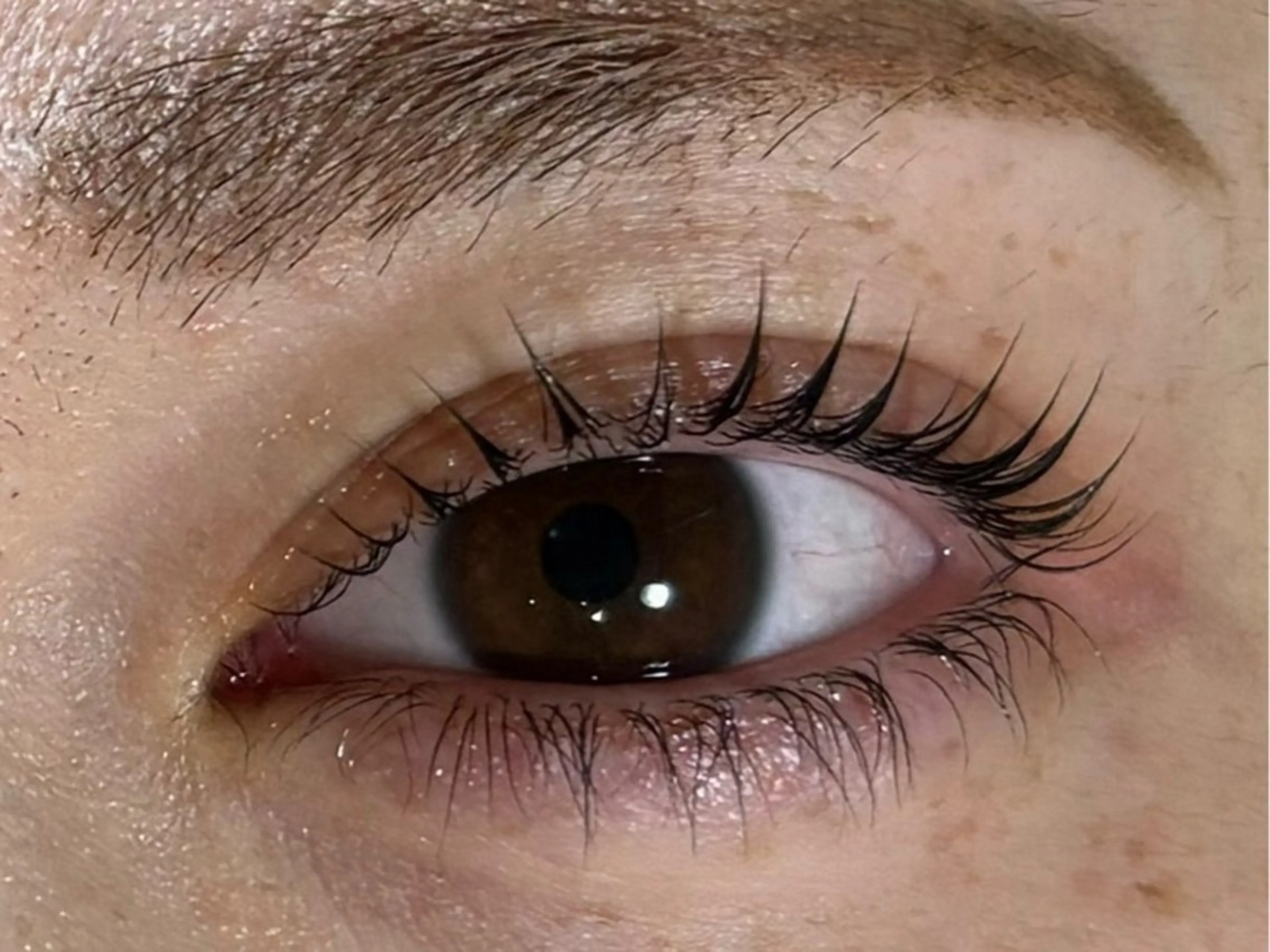 マツエク・マツパ あべ⠀しほ * 無料モデル募集中の眉毛・アイブロウイメージ