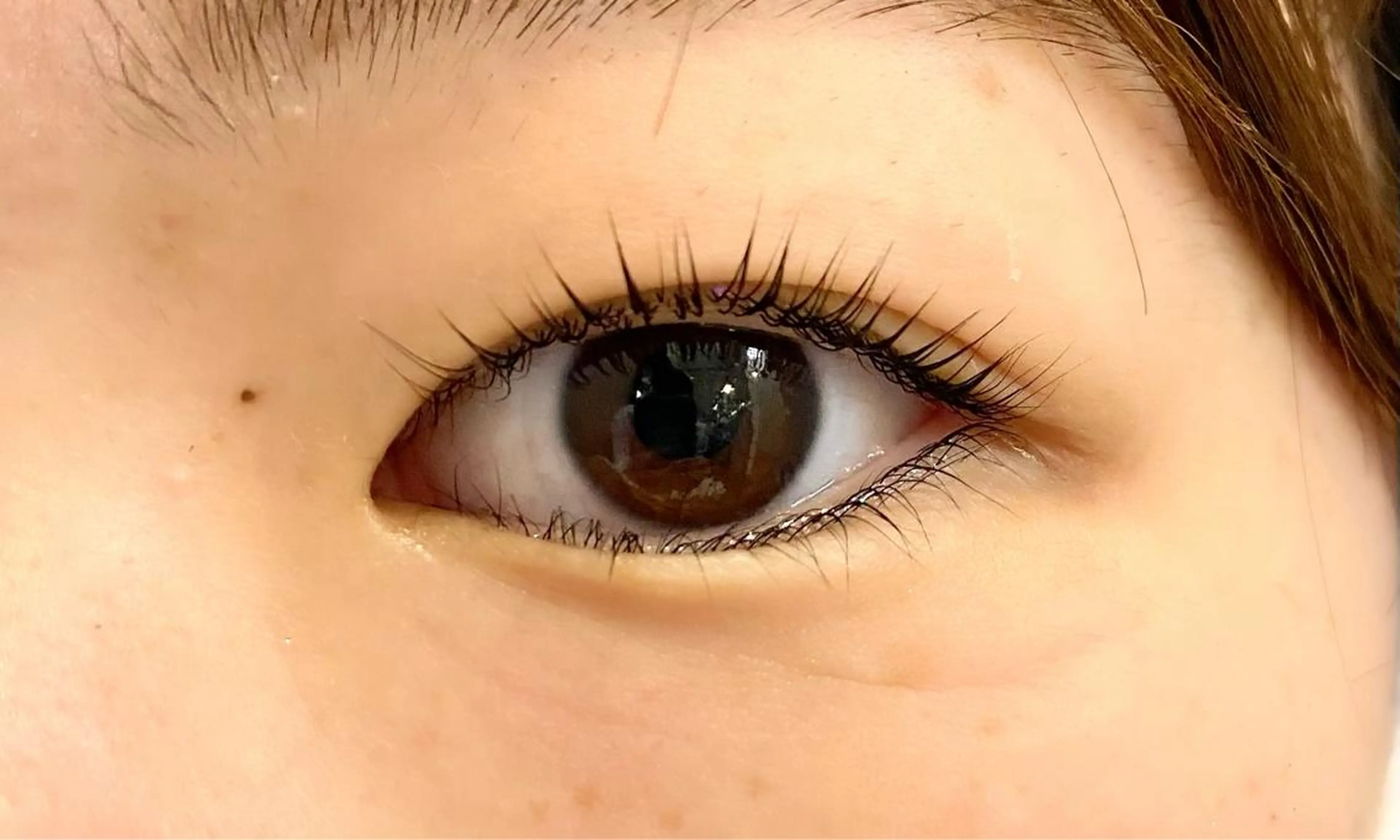 マツエク・マツパ Bianca 長津田店　長牛の眉毛・アイブロウイメージ