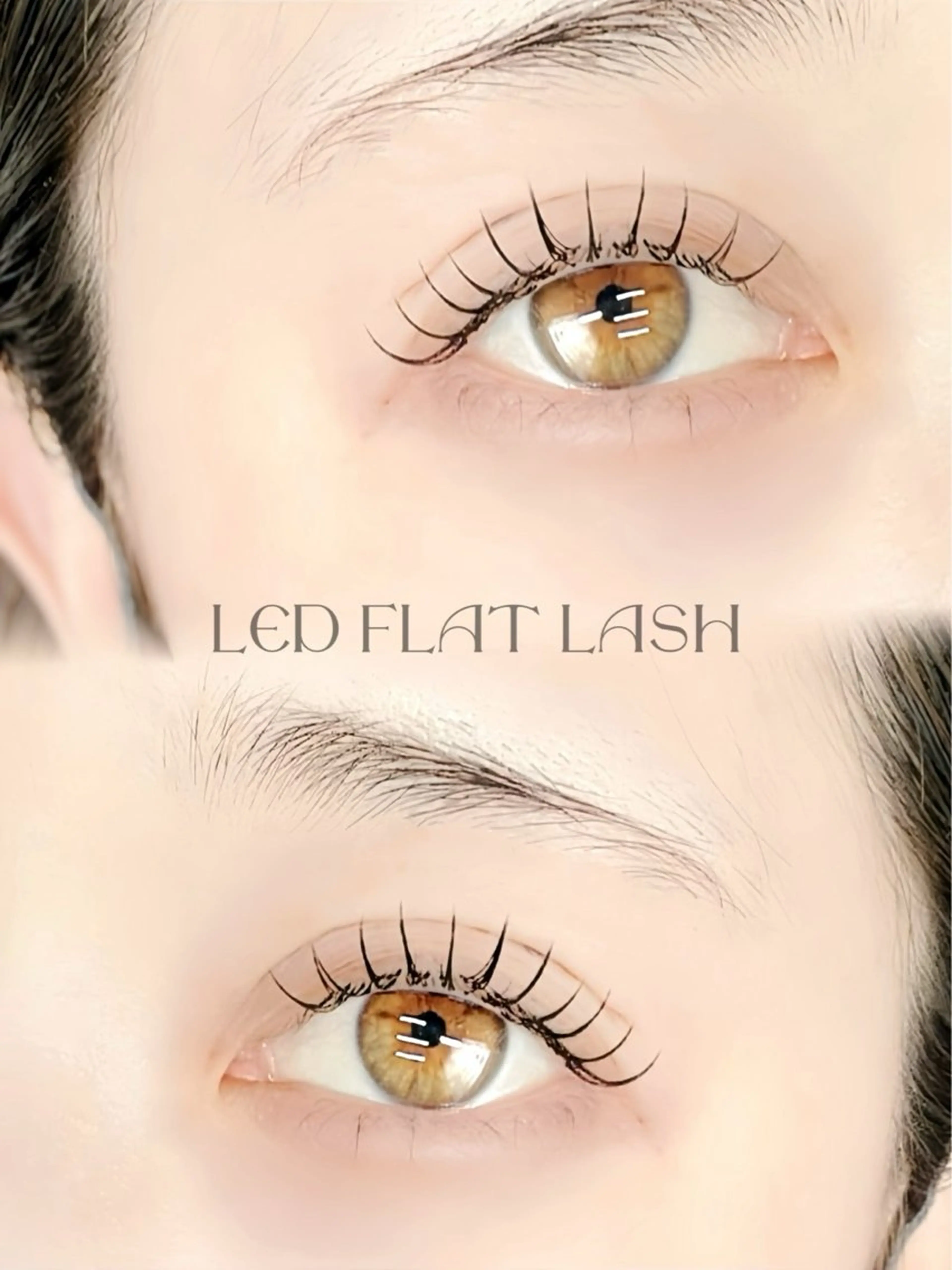 LEDマツエク100本✨の写真