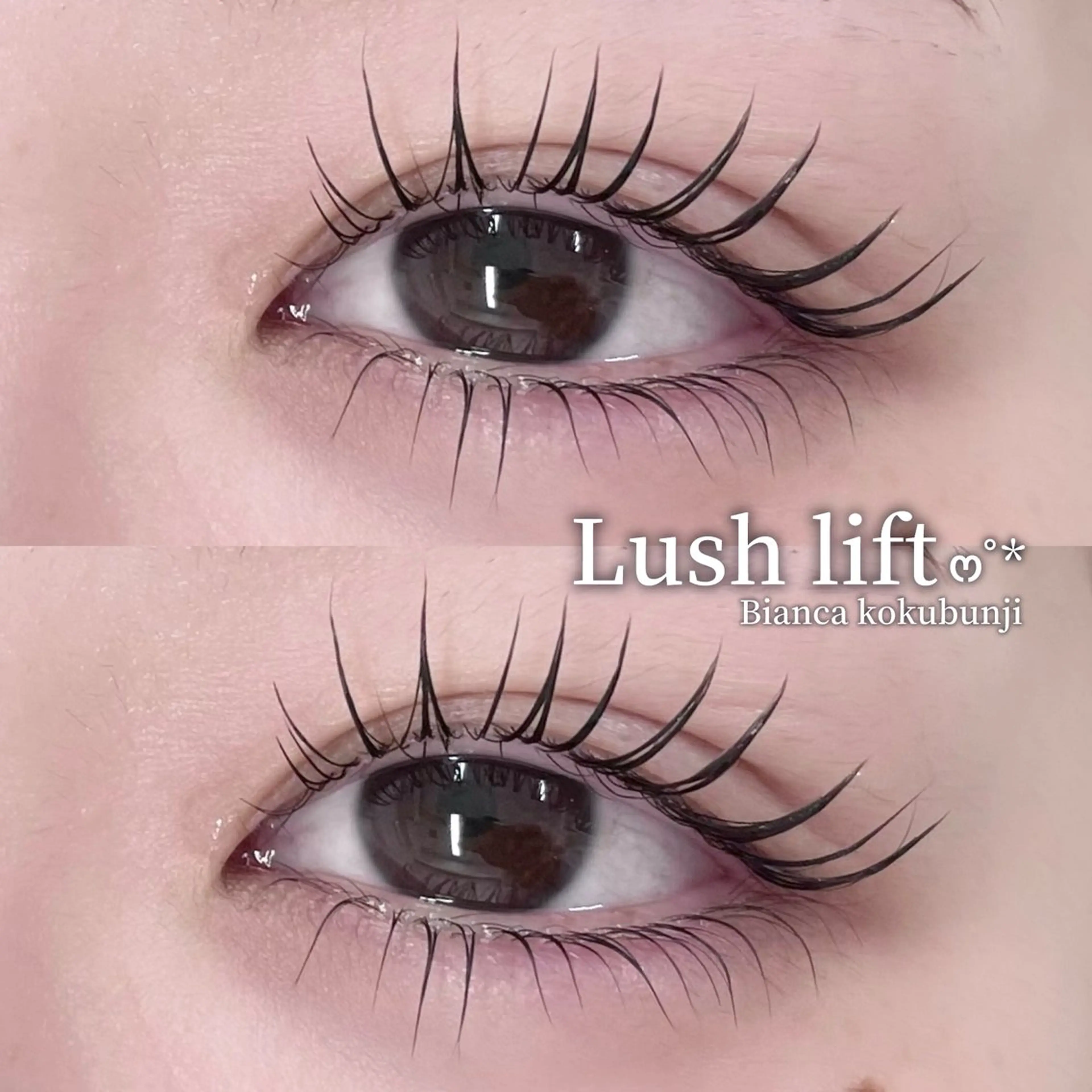 💛平日限定💛まつ毛カール《上下》※施術時間1時間/国分寺駅南口から徒歩1分の写真