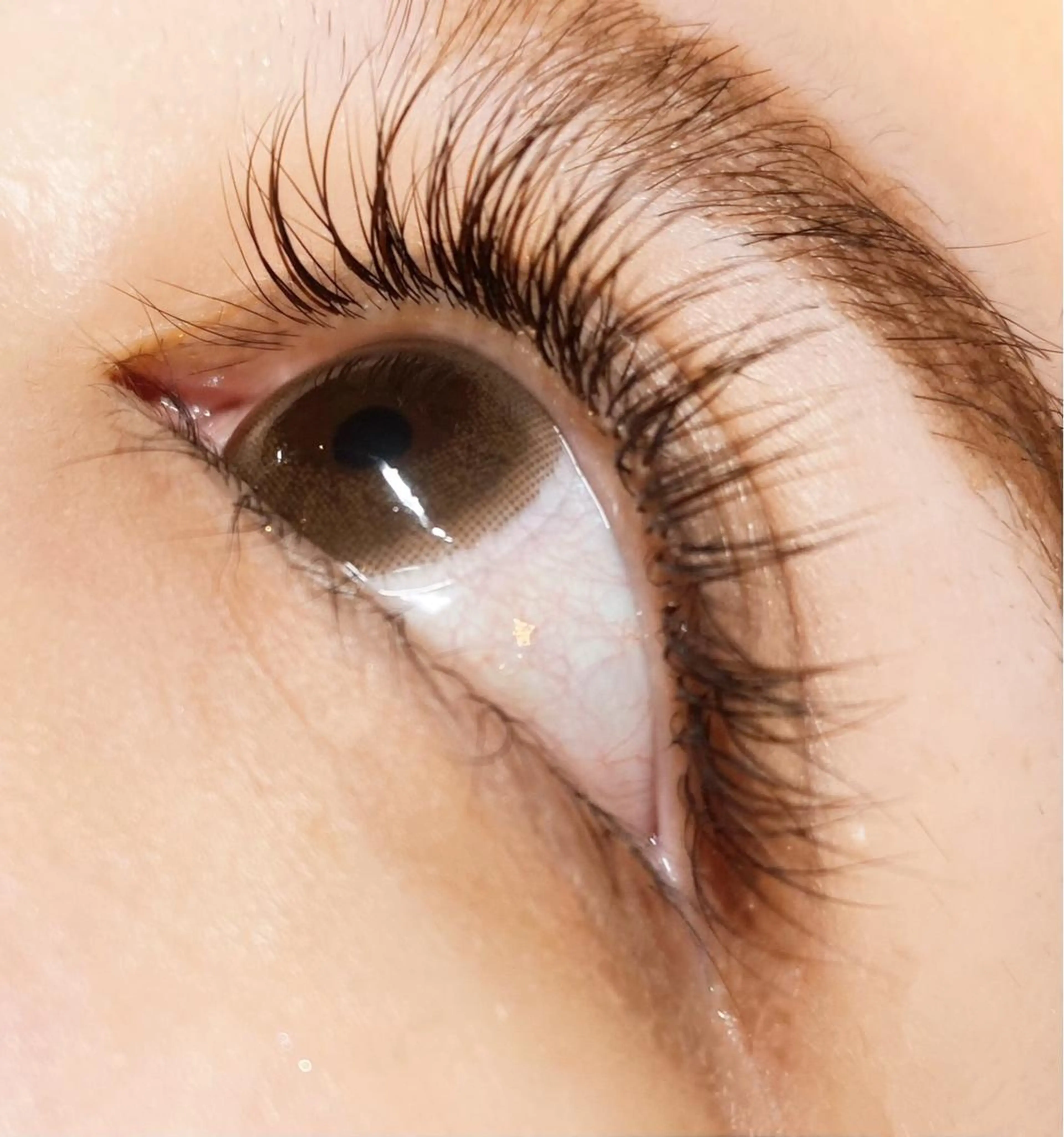 マツエク・マツパ Cカール カラーマツエク キュート killa eye beauty 野中のマツエク・マツパデザイン