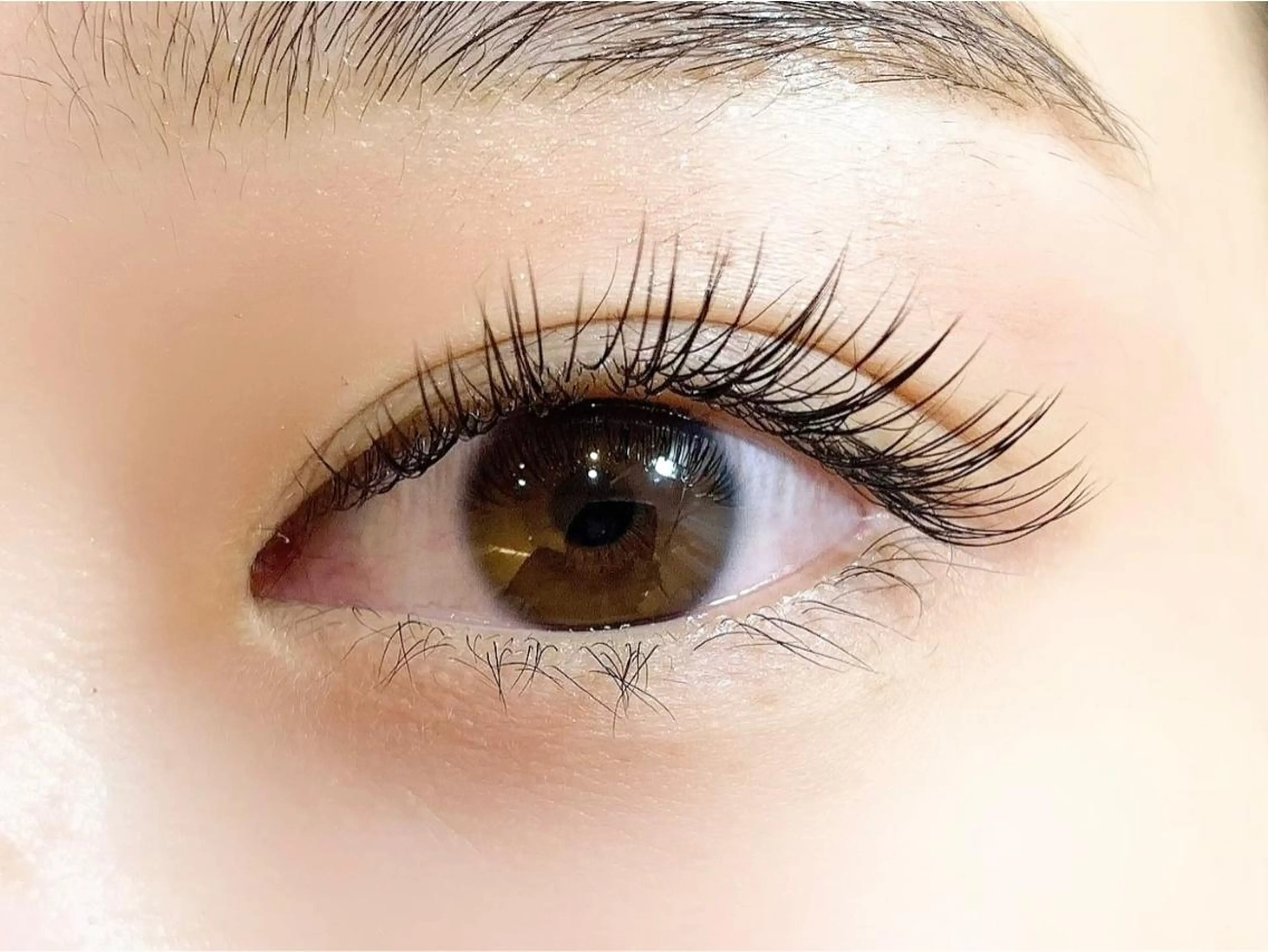 マツエク・マツパ フラットラッシュ Jカール sola: neolive熊田のマツエク・マツパデザイン