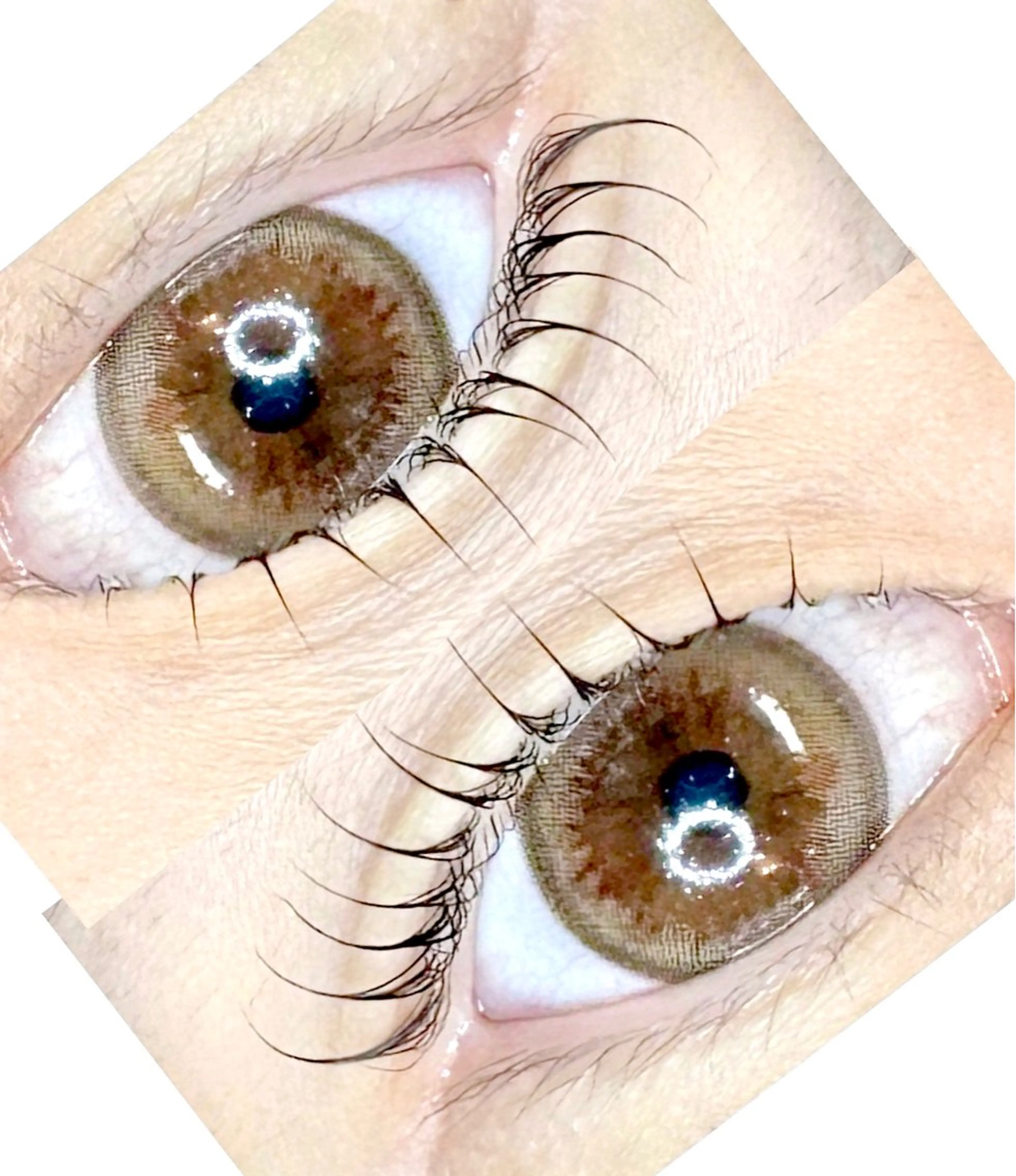 【限定価格】似合わせラッシュリフトモデル様募集　ビフォーアフターお写真撮らせてください！ロッド豊富に取り揃えております♡の写真