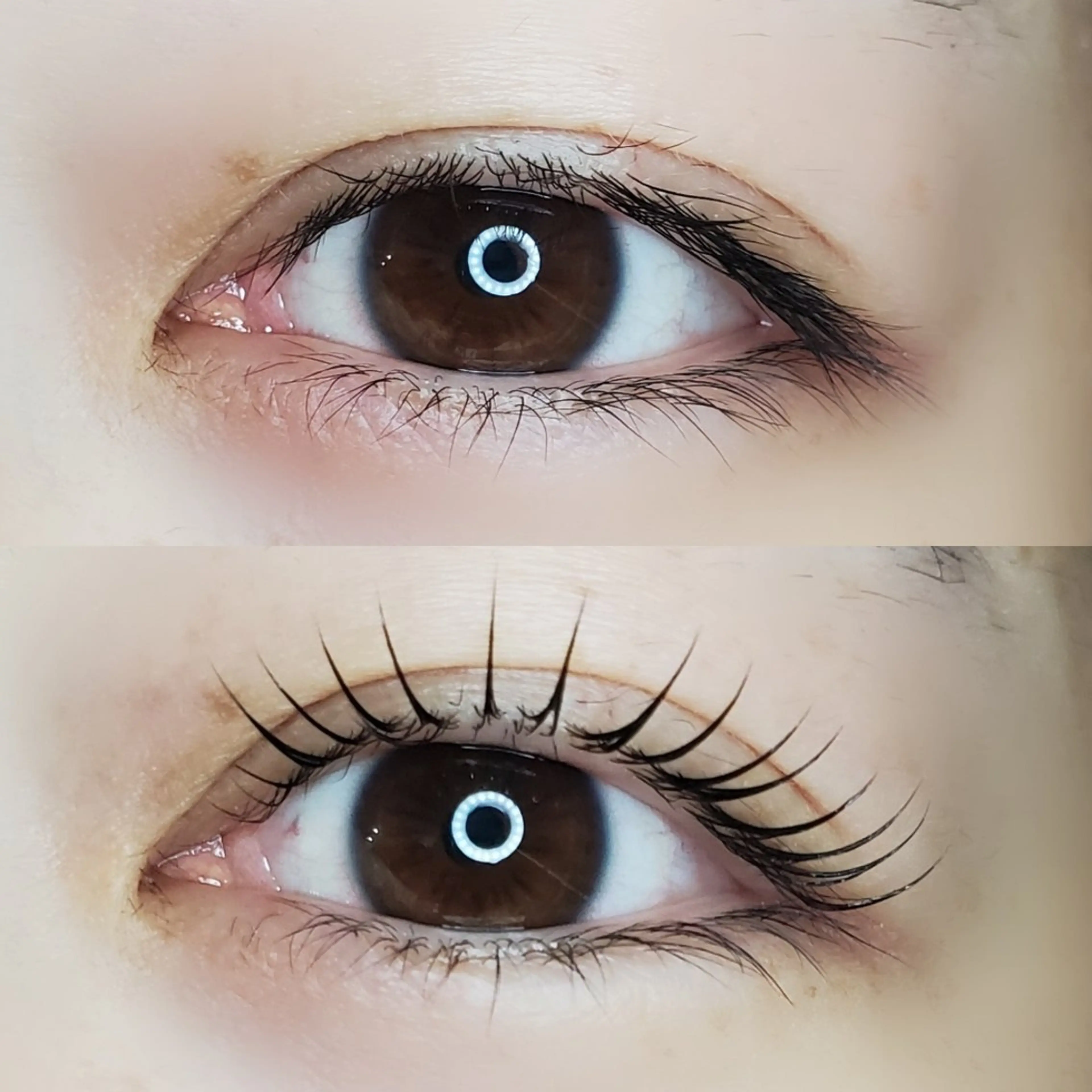 マツエク・マツパ eyelash  Haleluのマツエク・マツパデザイン