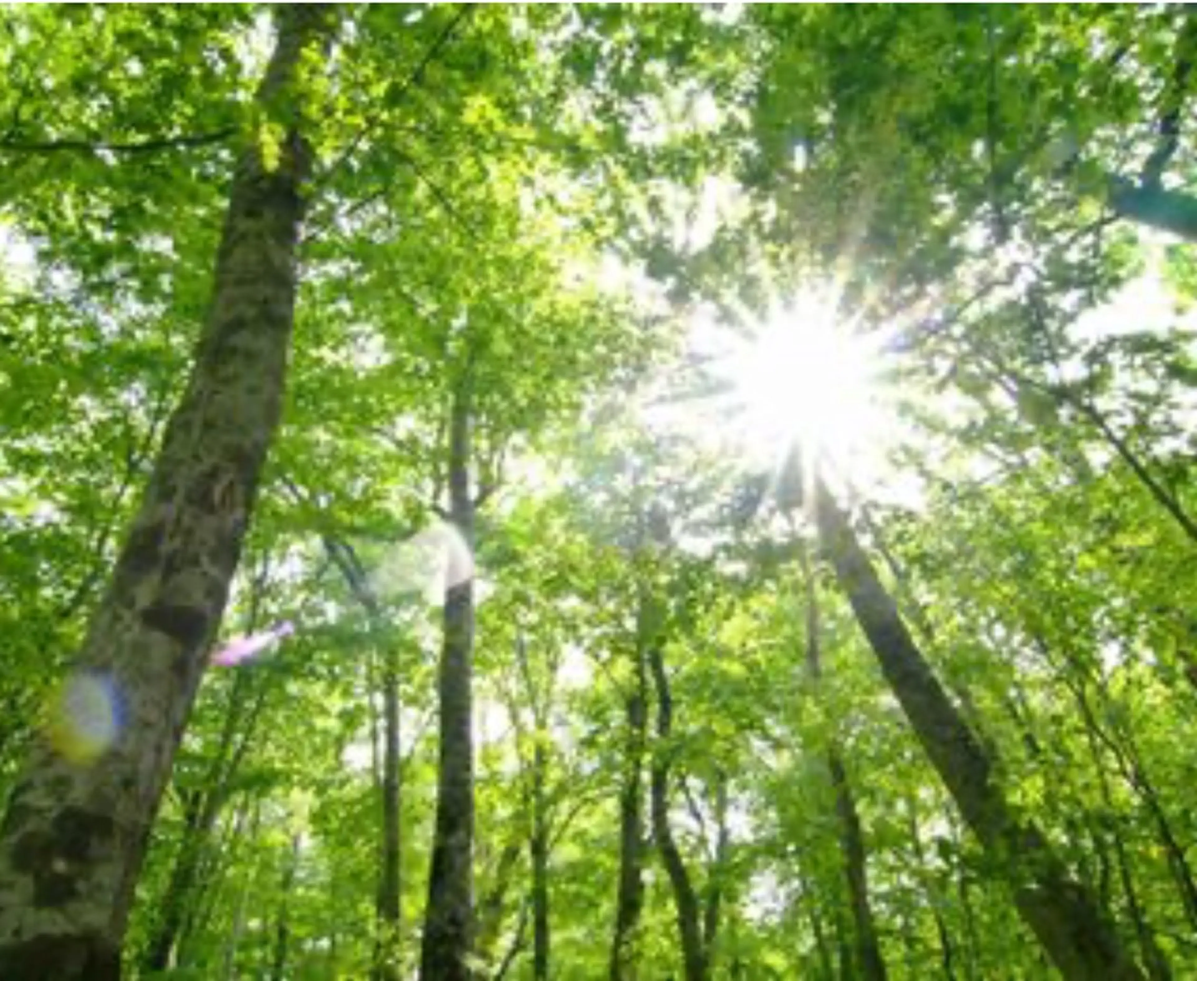 エステ Tairacchi ﾀｲﾗｯﾁのエステ・リラクイメージ