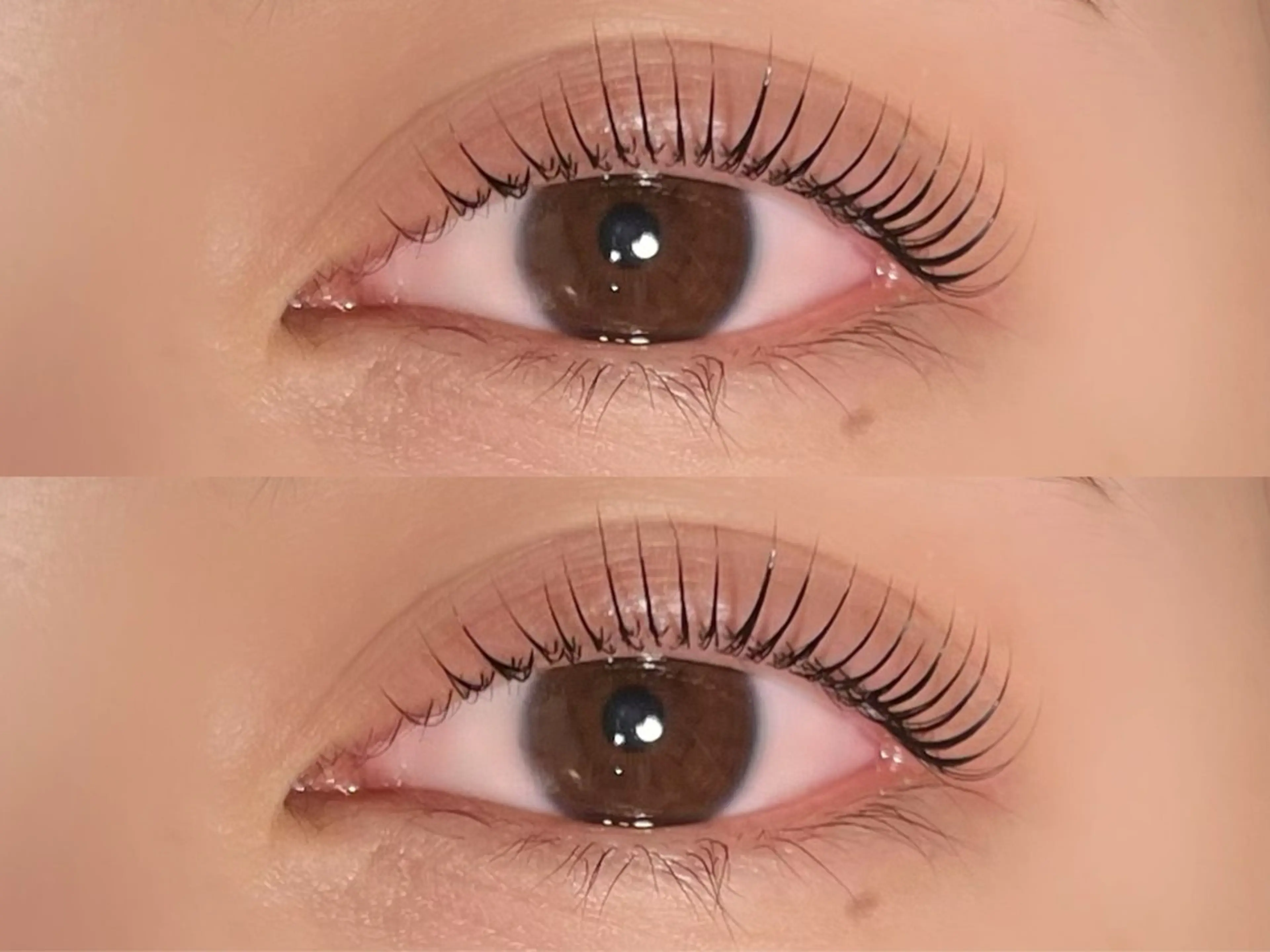 マツエク・マツパ マツパ ikoi yukaのヘアスタイル