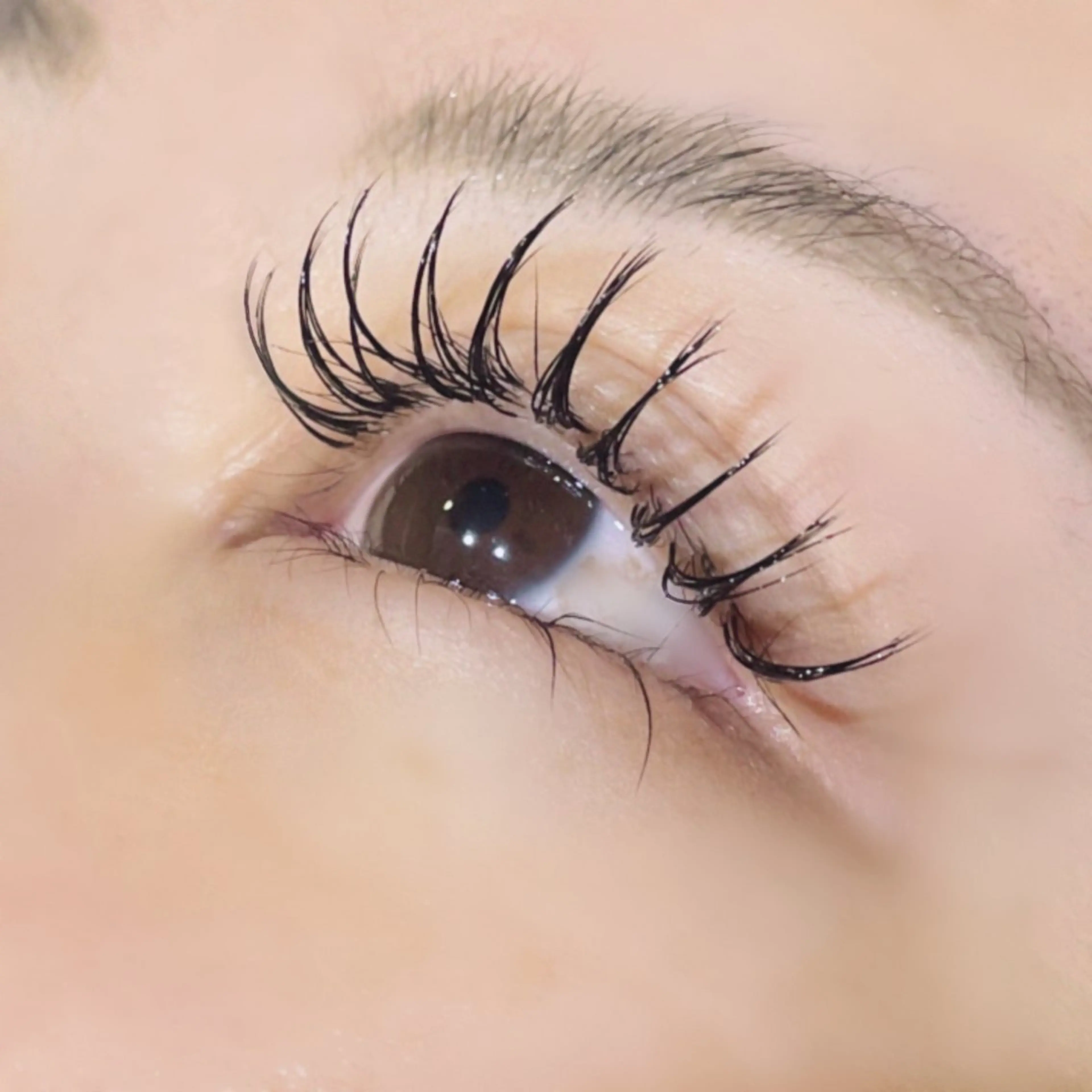 マツエク・マツパ 🌟杉枝 佑夏🌟のマツエク・マツパデザイン