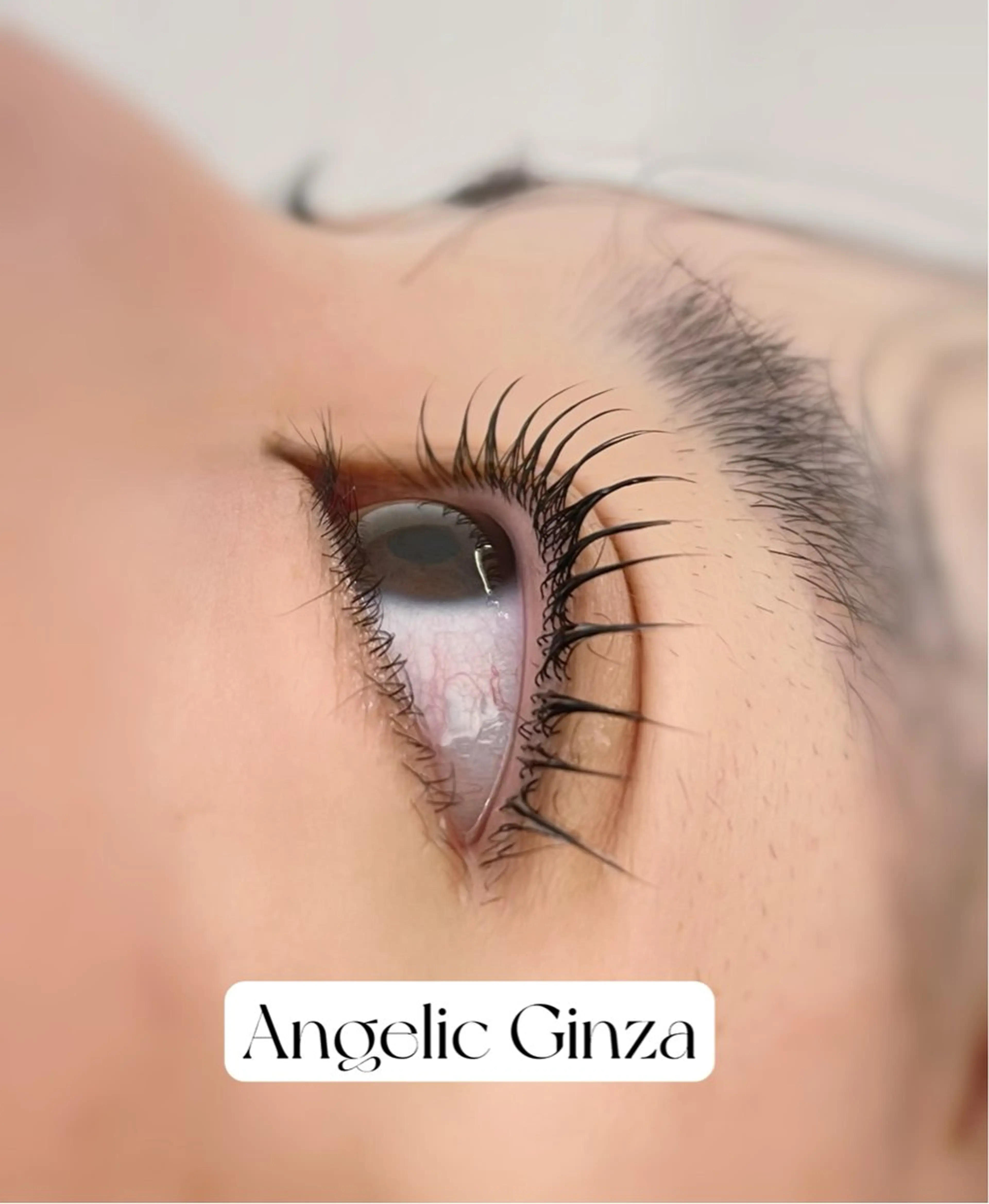 マツエク・マツパ パリジェンヌラッシュリフト マツパ Angelic Ginza♥🧸のマツエク・マツパデザイン